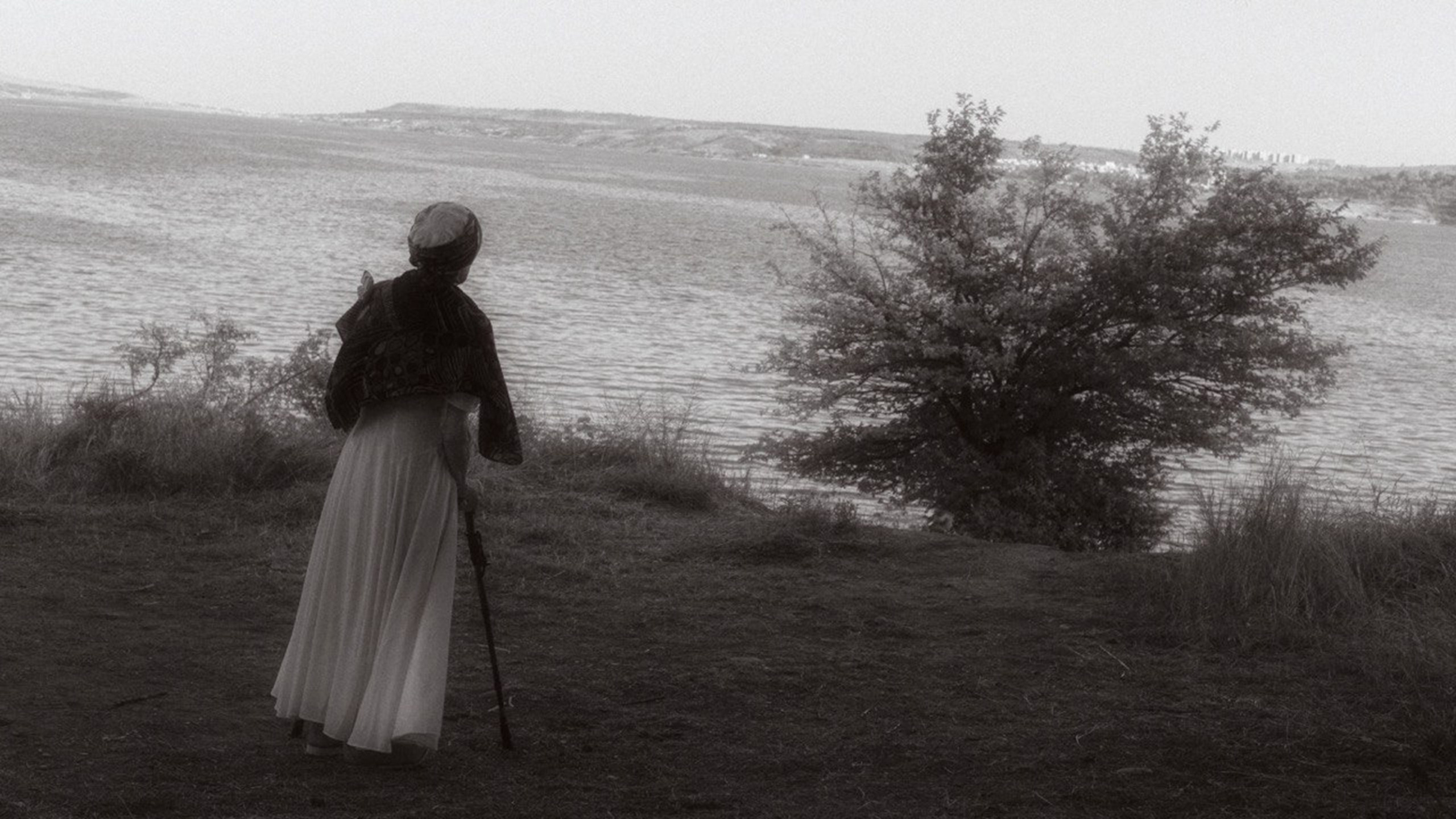 Проект «Кокон» — участник выставки LUX PICTURA в галерее Art Maison. Ekaterina Beridze