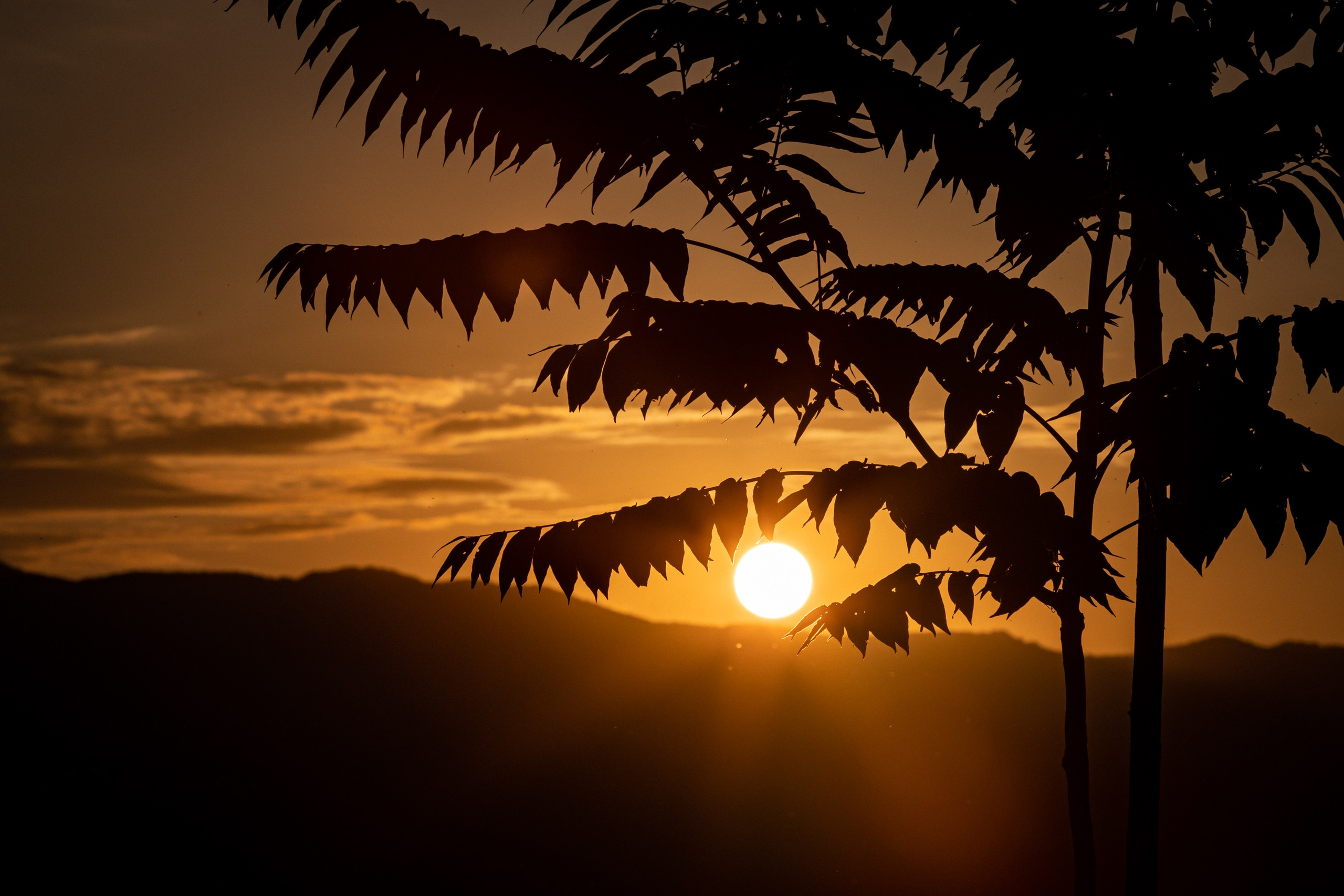 Закаты. Фотограф Владимир Охрименко