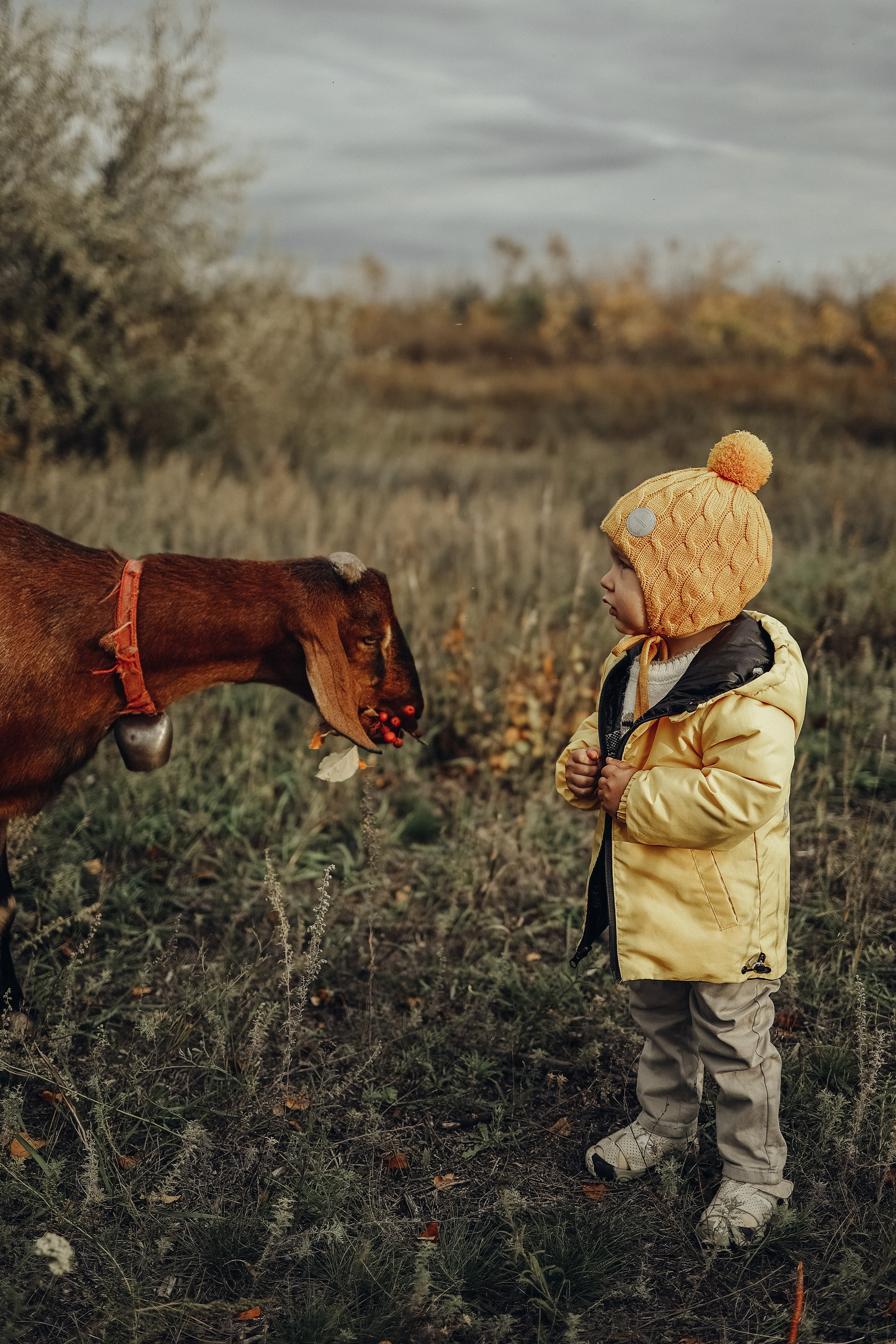 Семейная прогулочная съёмка. Фотограф в Астане Элина Багинская