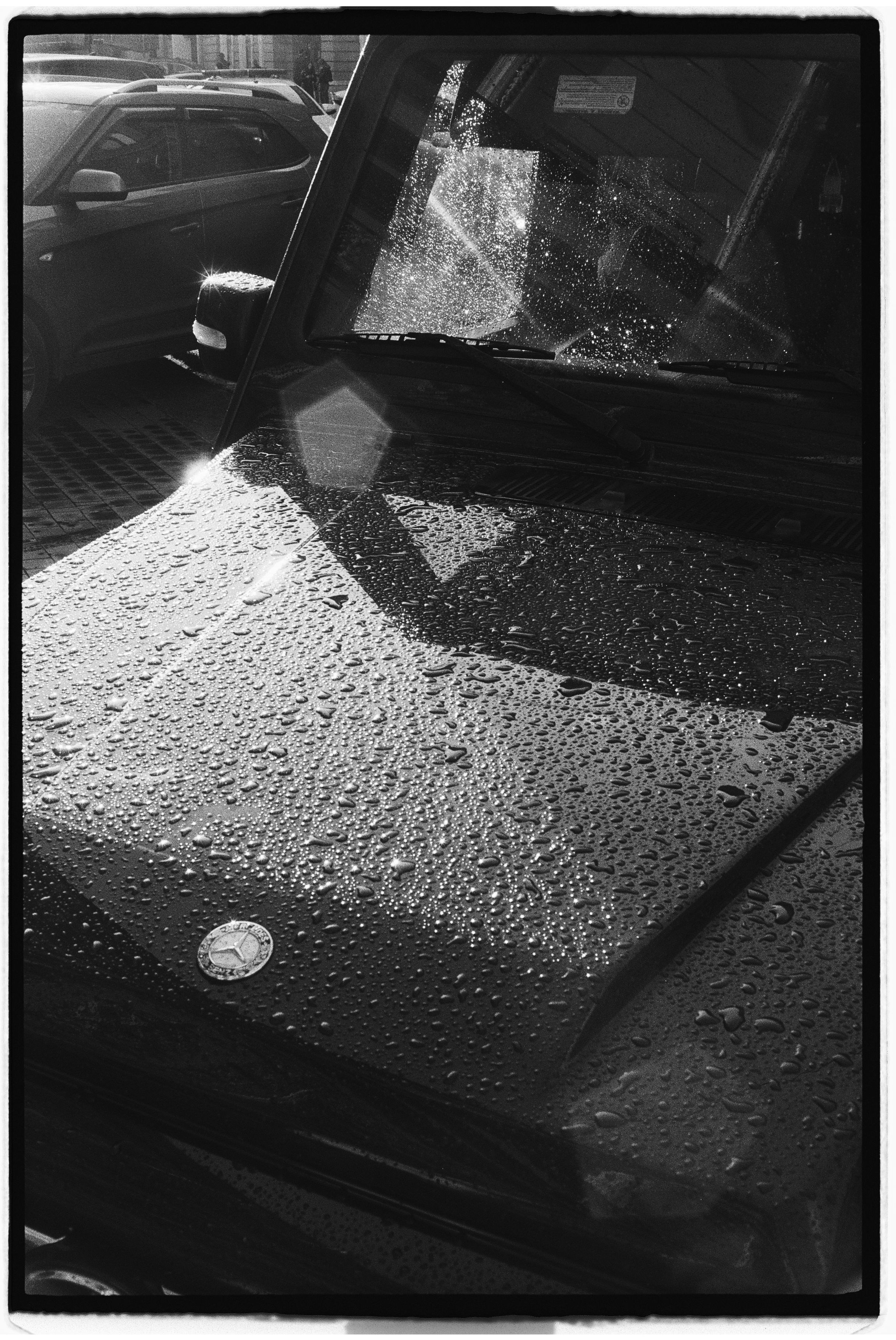 St. Petersburg. @tomrus: Рустам Шагиморданов — фотограф