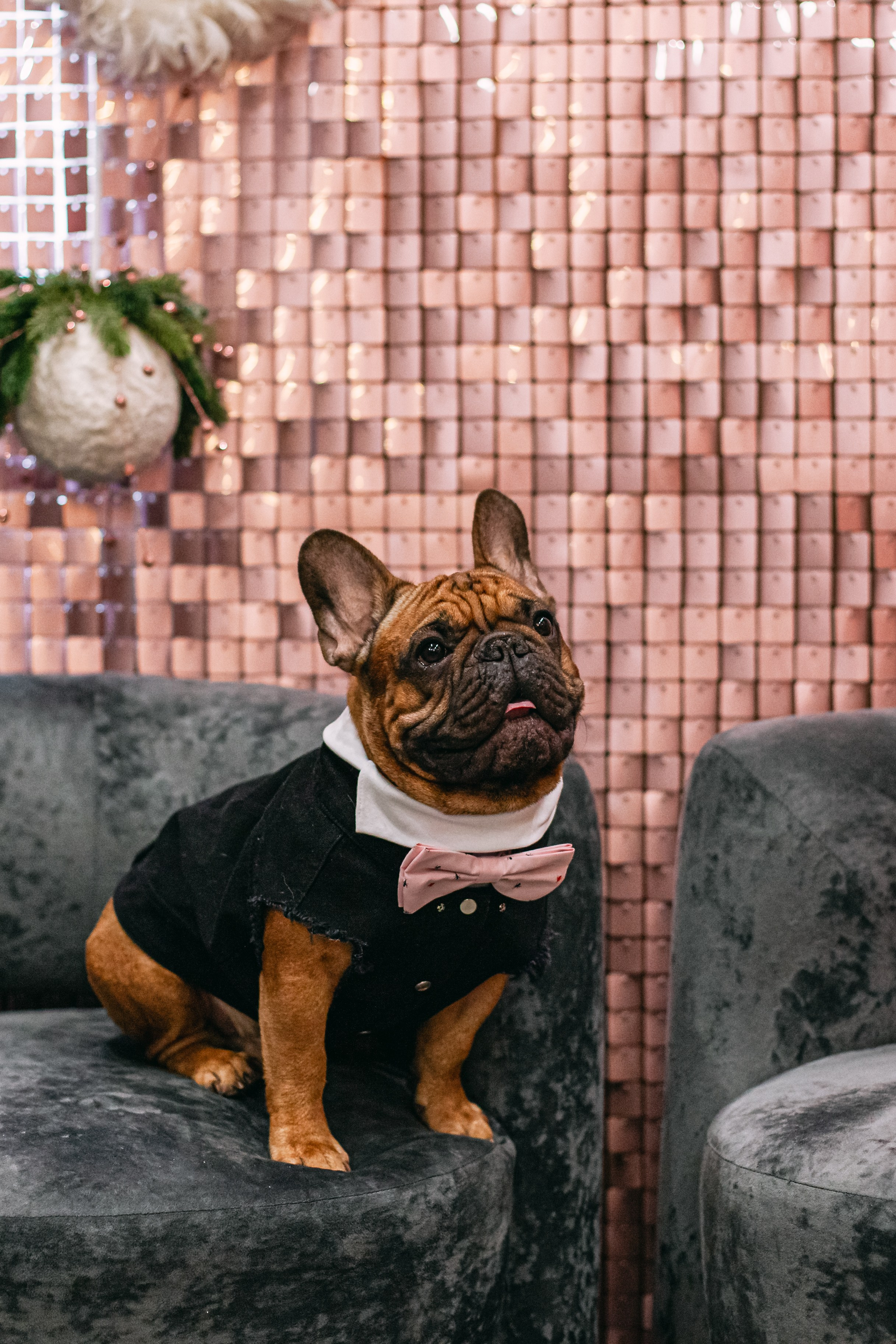 Бульёлка 2024. Фотограф-анималист Татьяна Степанова