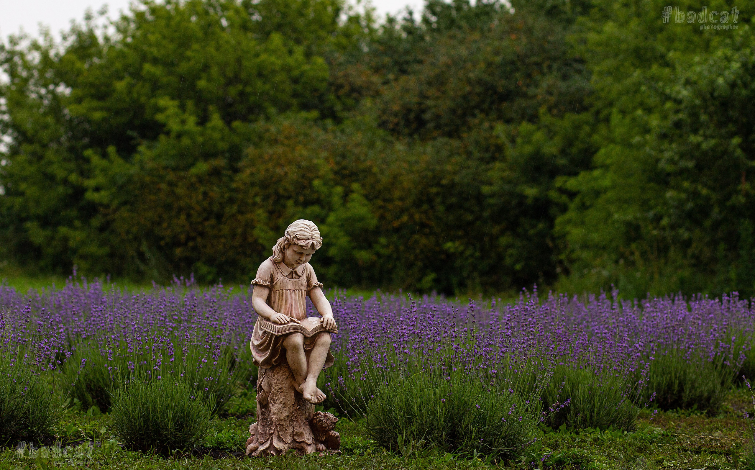 Фотосессии в лаванде Воронеж. Фотограф Тамара Нижельская Воронеж