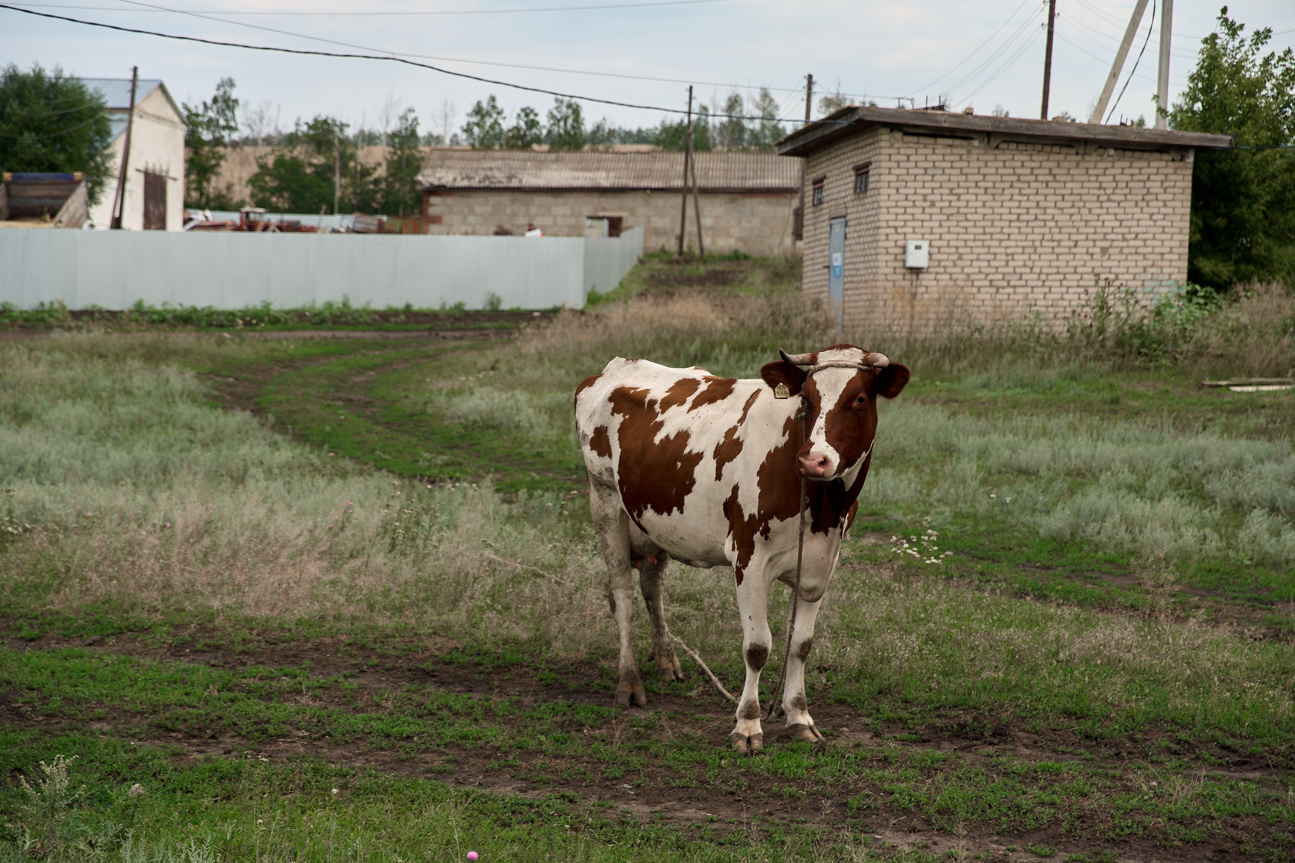 Воронеж. Свадебный и репортажный фотограф Москва — Олег Акентьев