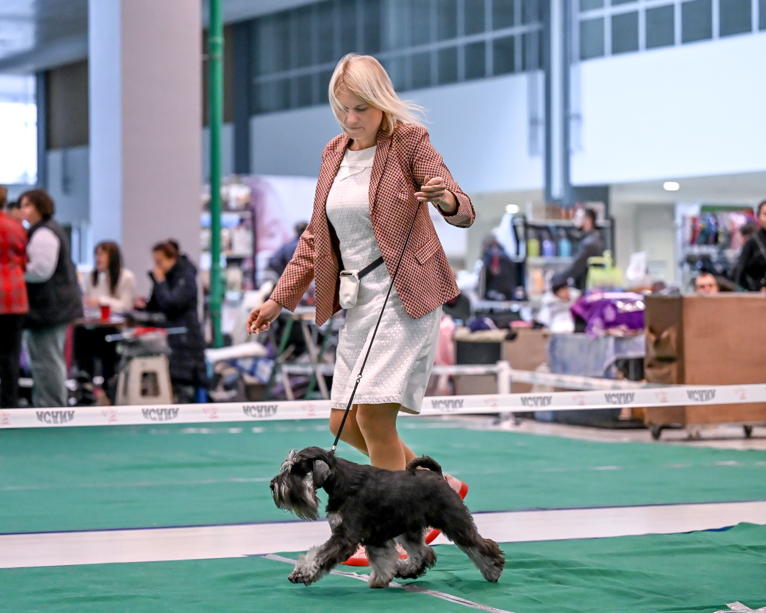 Delinso Balance Chivas Regal (Li Mu Zi Chinese Dragon x Delinso Balance Onyrico Tahoe)