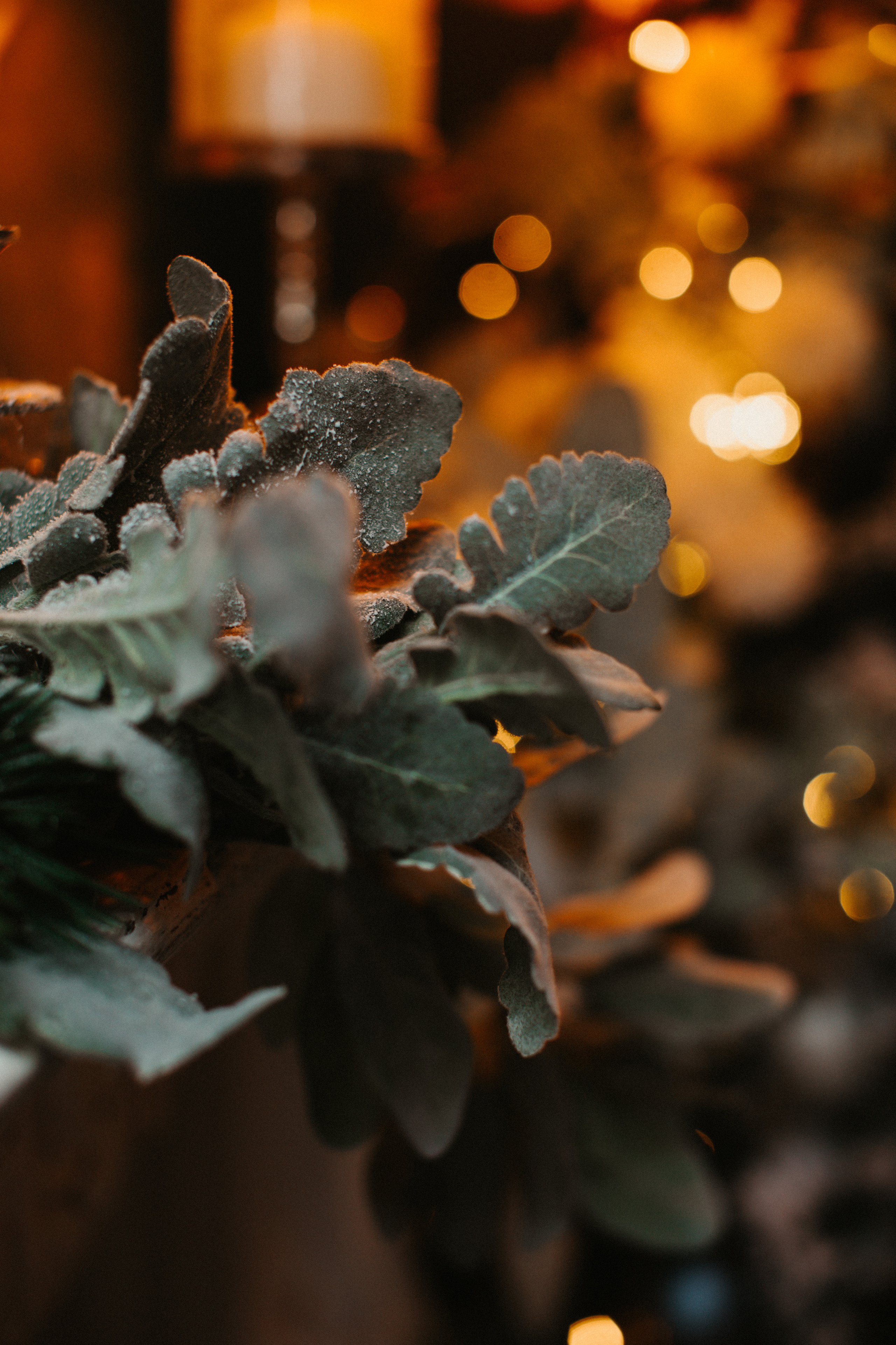 Заставки. Свадебный и семейный фотограф/видеограф в Краснодаре Наталья Осинская