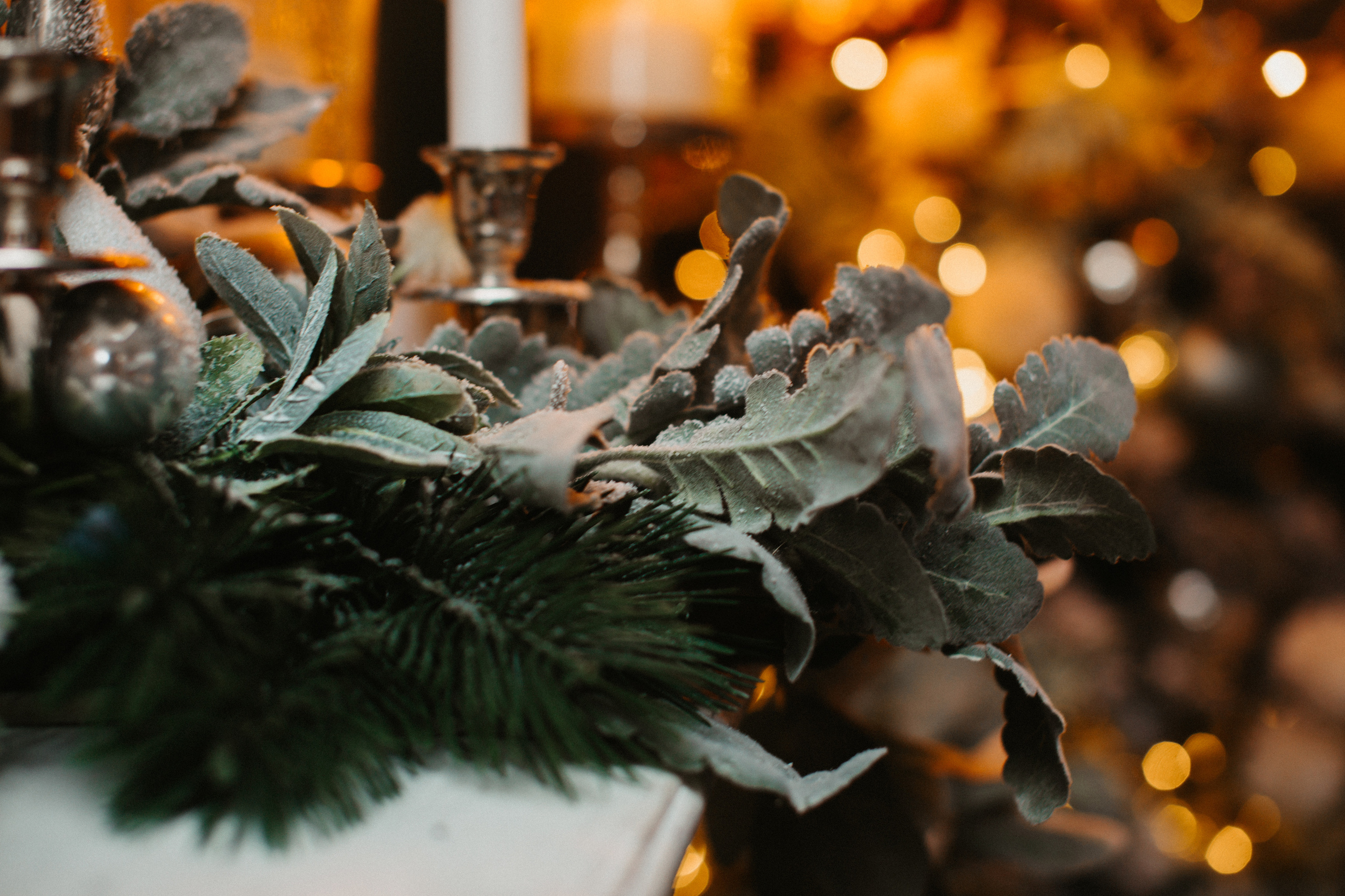 Заставки. Свадебный и семейный фотограф/видеограф в Краснодаре Наталья Осинская