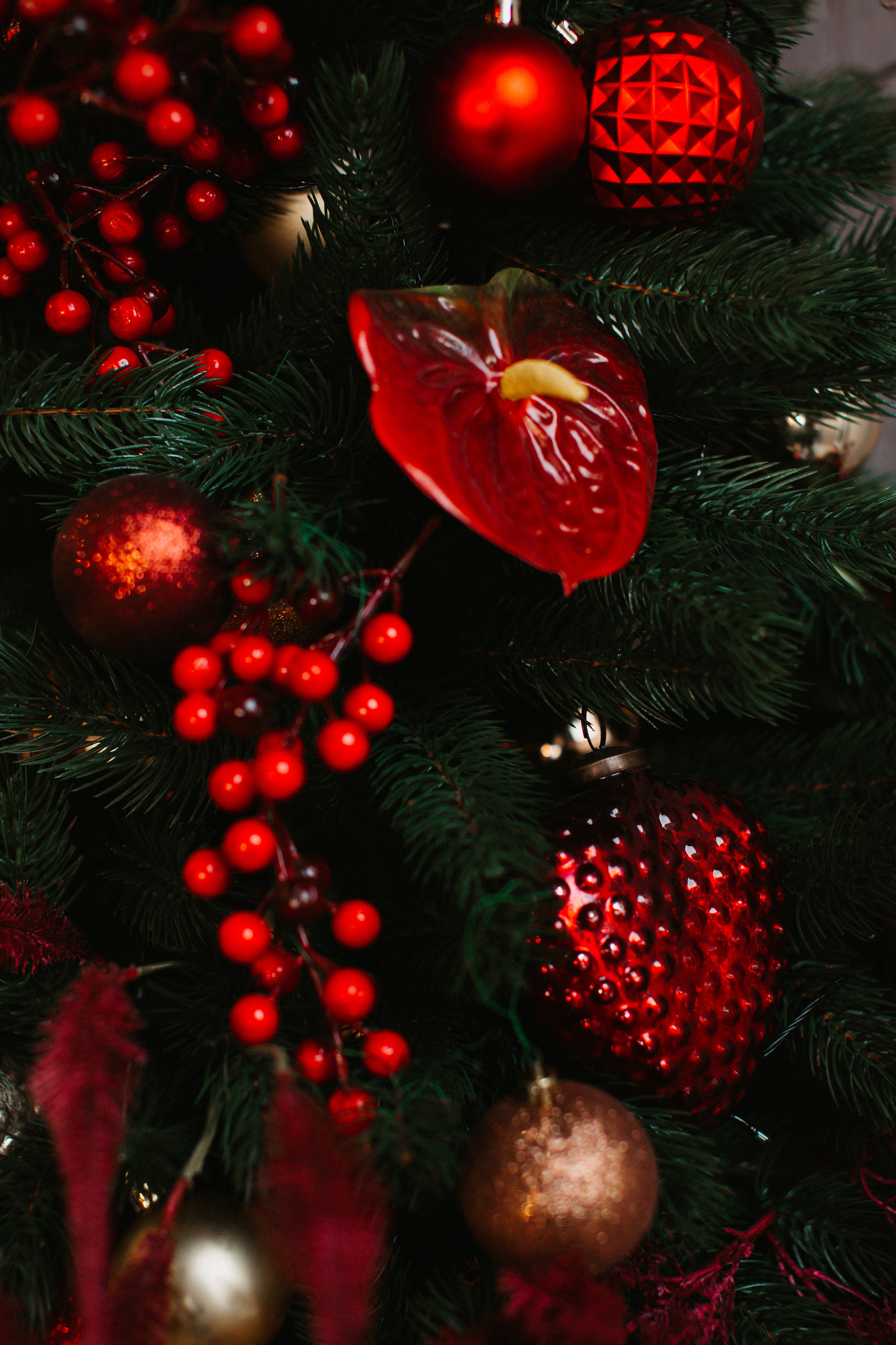 Заставки. Свадебный и семейный фотограф/видеограф в Краснодаре Наталья Осинская