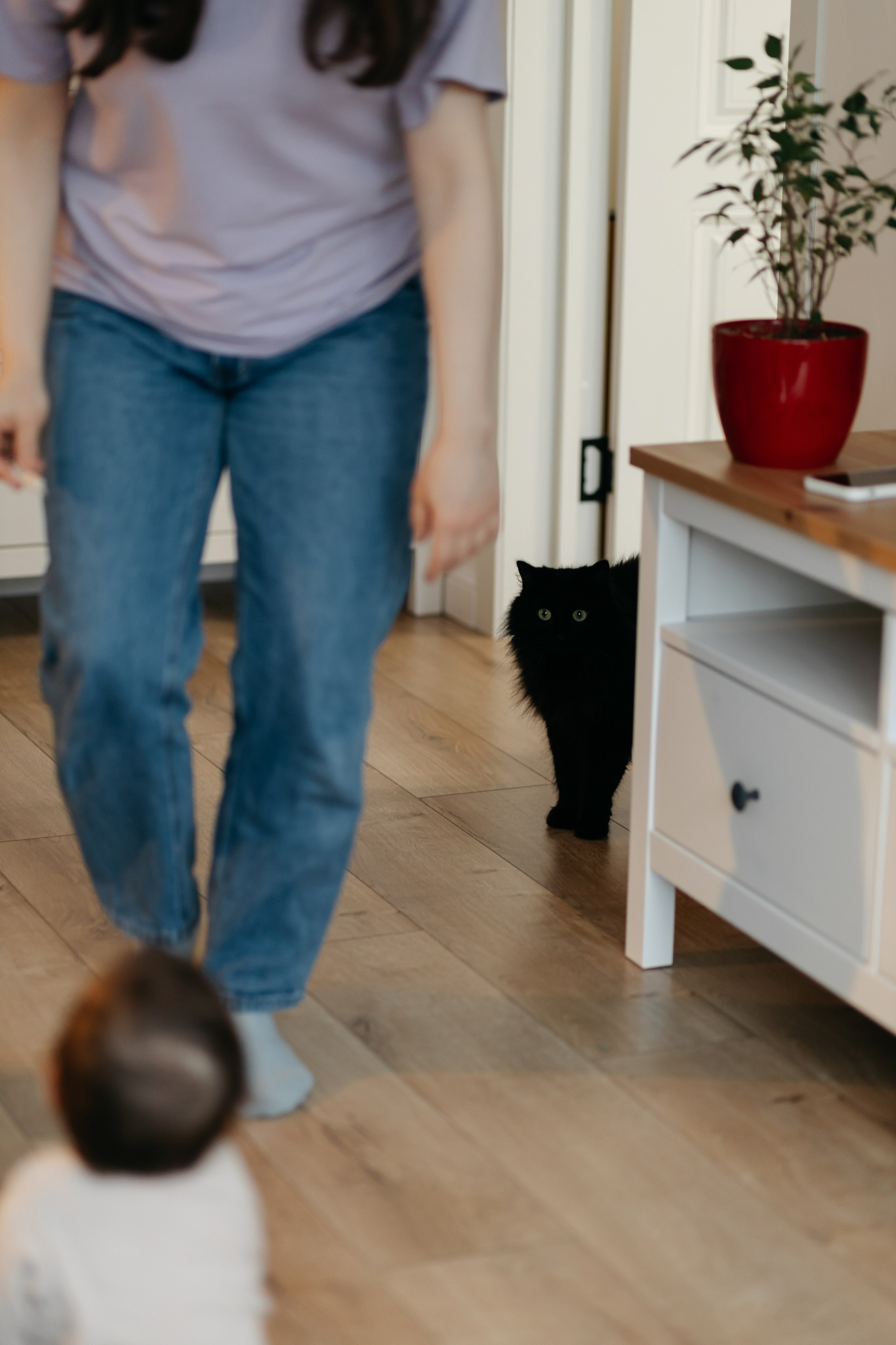 Оля, Артем и Аглая. Свадебный фотограф в Пскове и Санкт-Петербурге | Анна Голикова