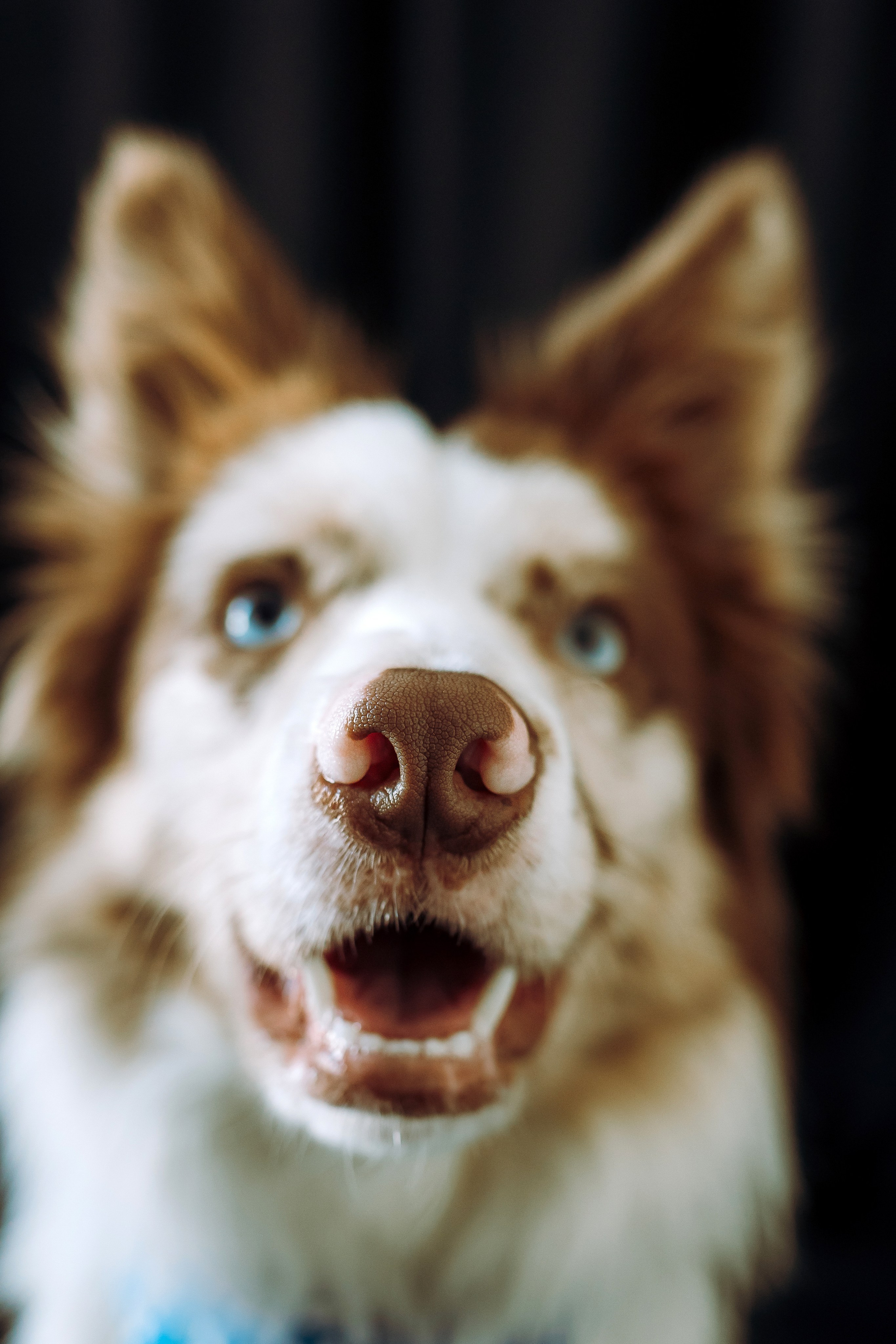 День рождения Айко