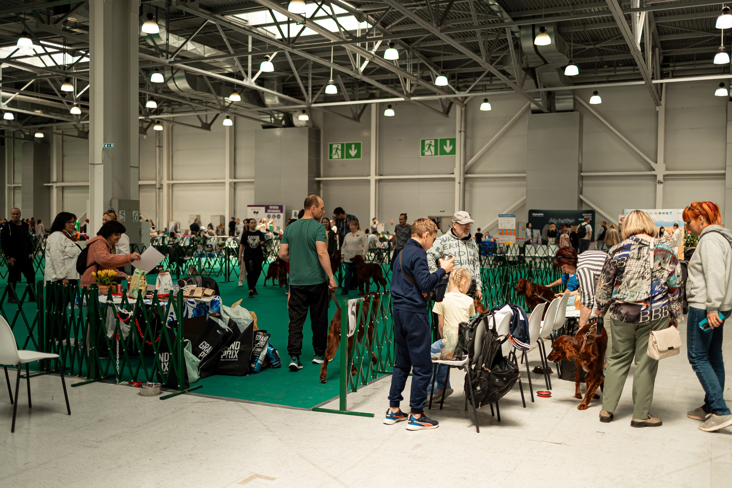 Выставка сеттеров 19.05.24