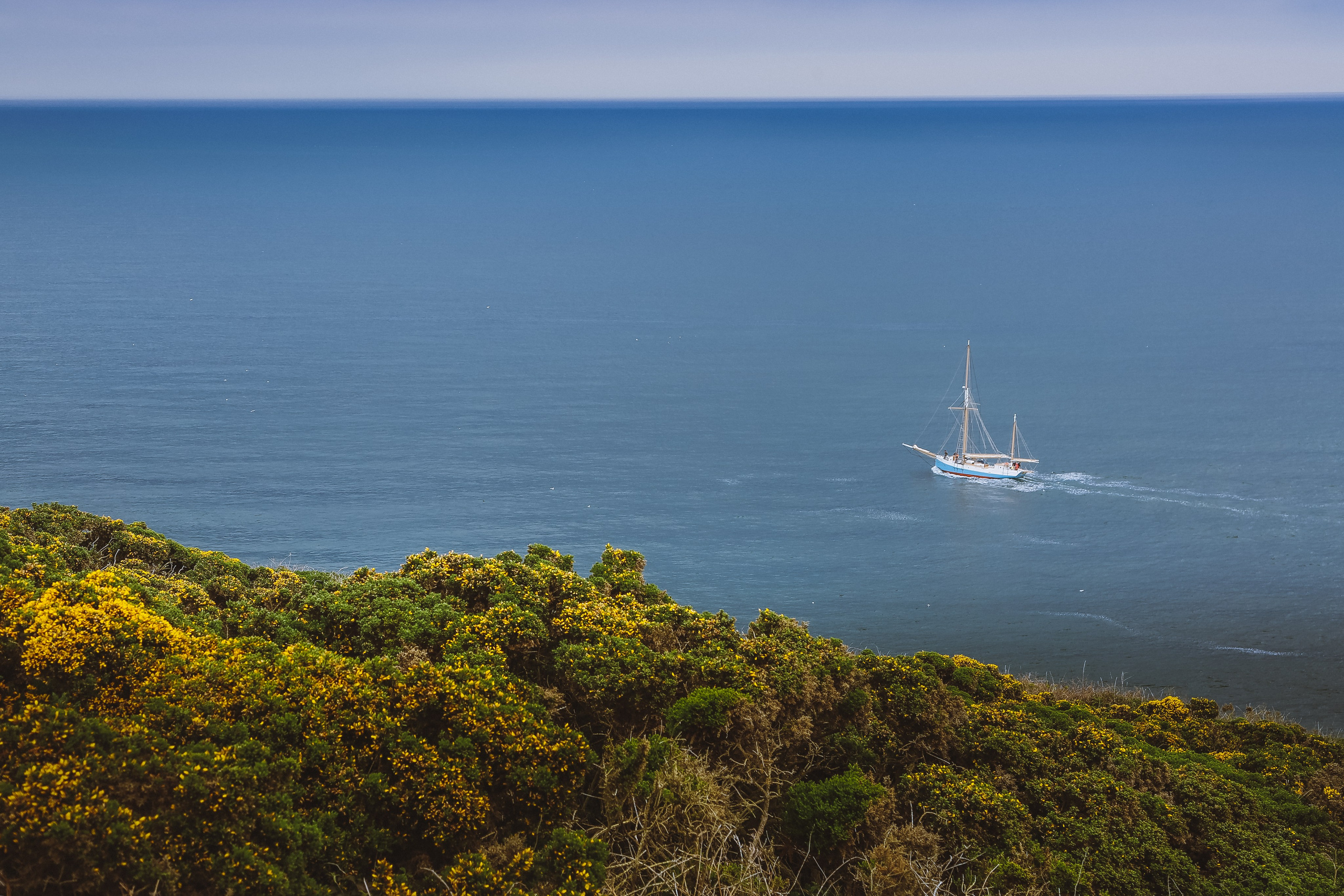 Ирландия: Хоут — тропинка на одного. Дарья Письменюк / Darya Leitstern — фотограф, музыкант, журналист, путешественник