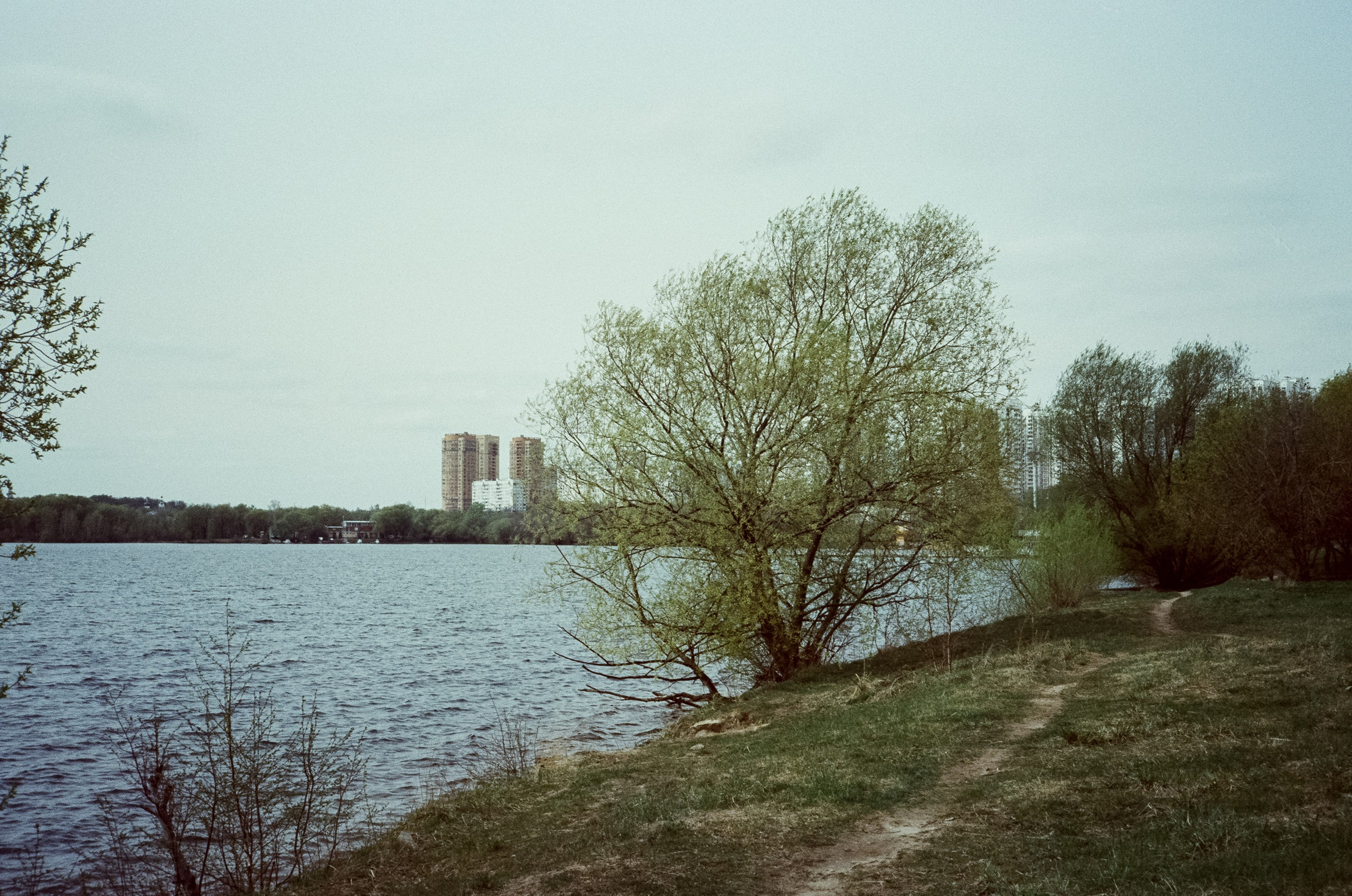 Ricoh 500GS / SFL 200T / Строгино тестовая пленка апрель 2024 г