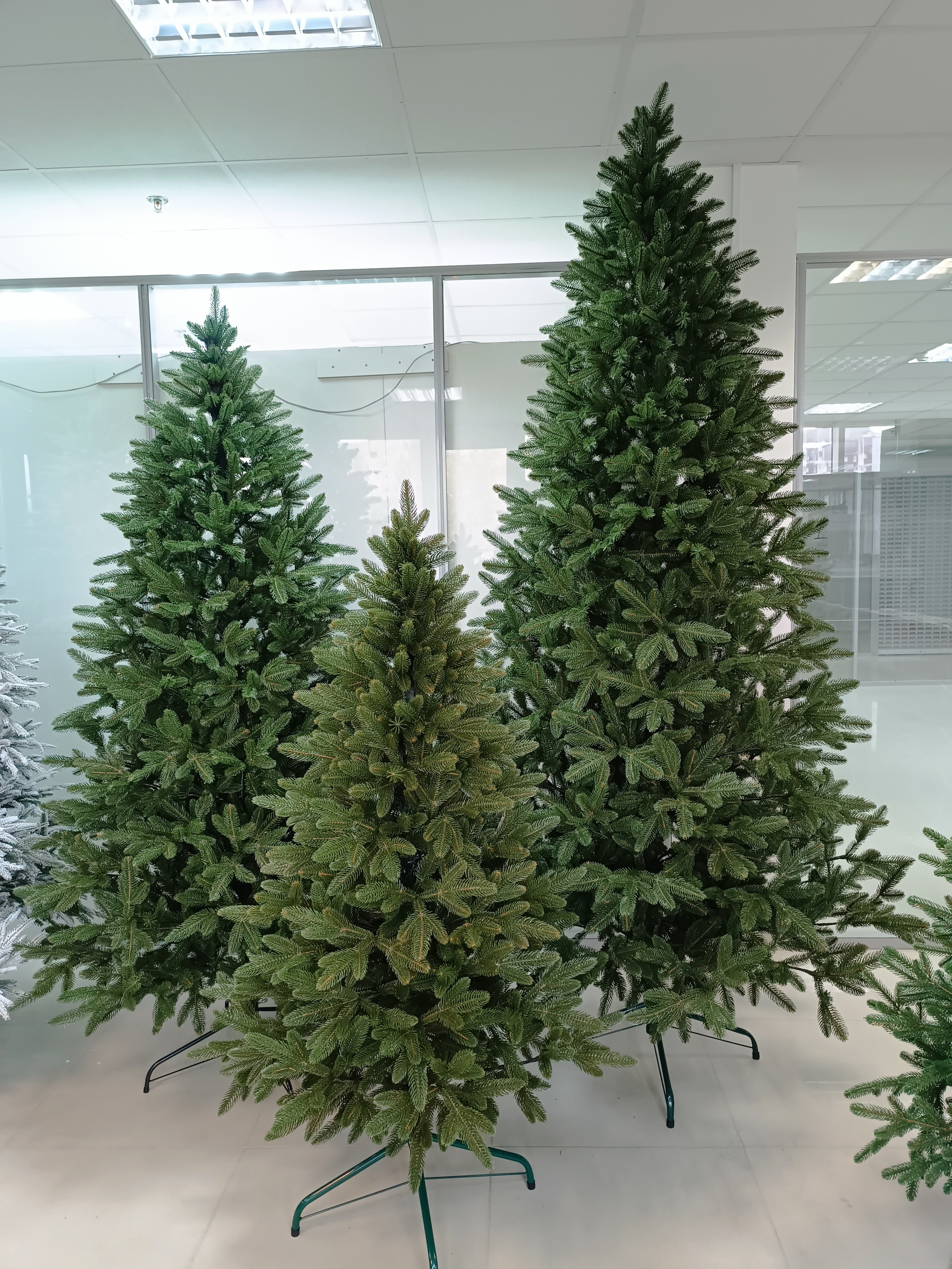 МЭРИ. Elki_grodno