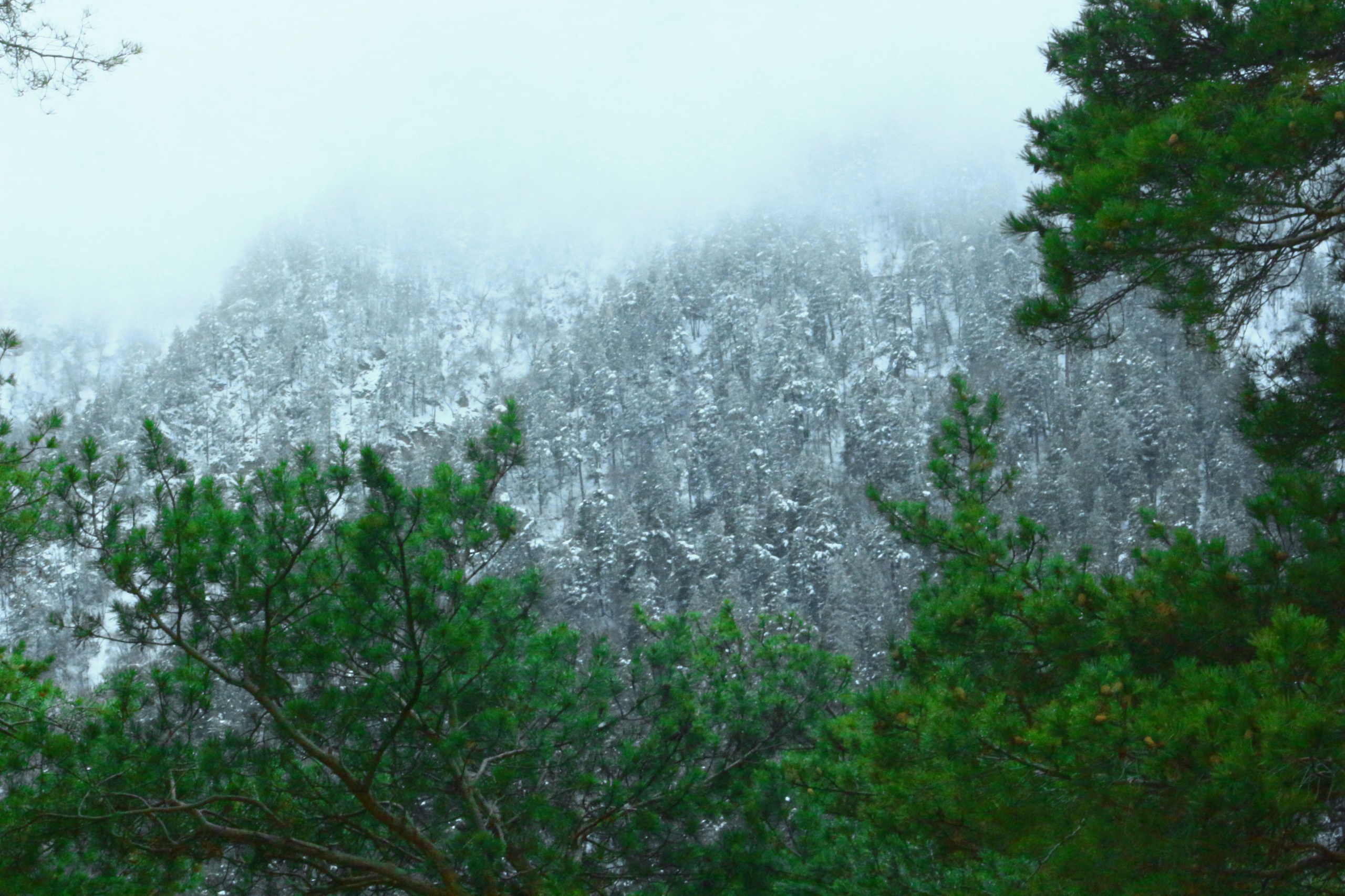 Лучше гор могут быть только горы…. Фотограф из Донецка Александр Турко