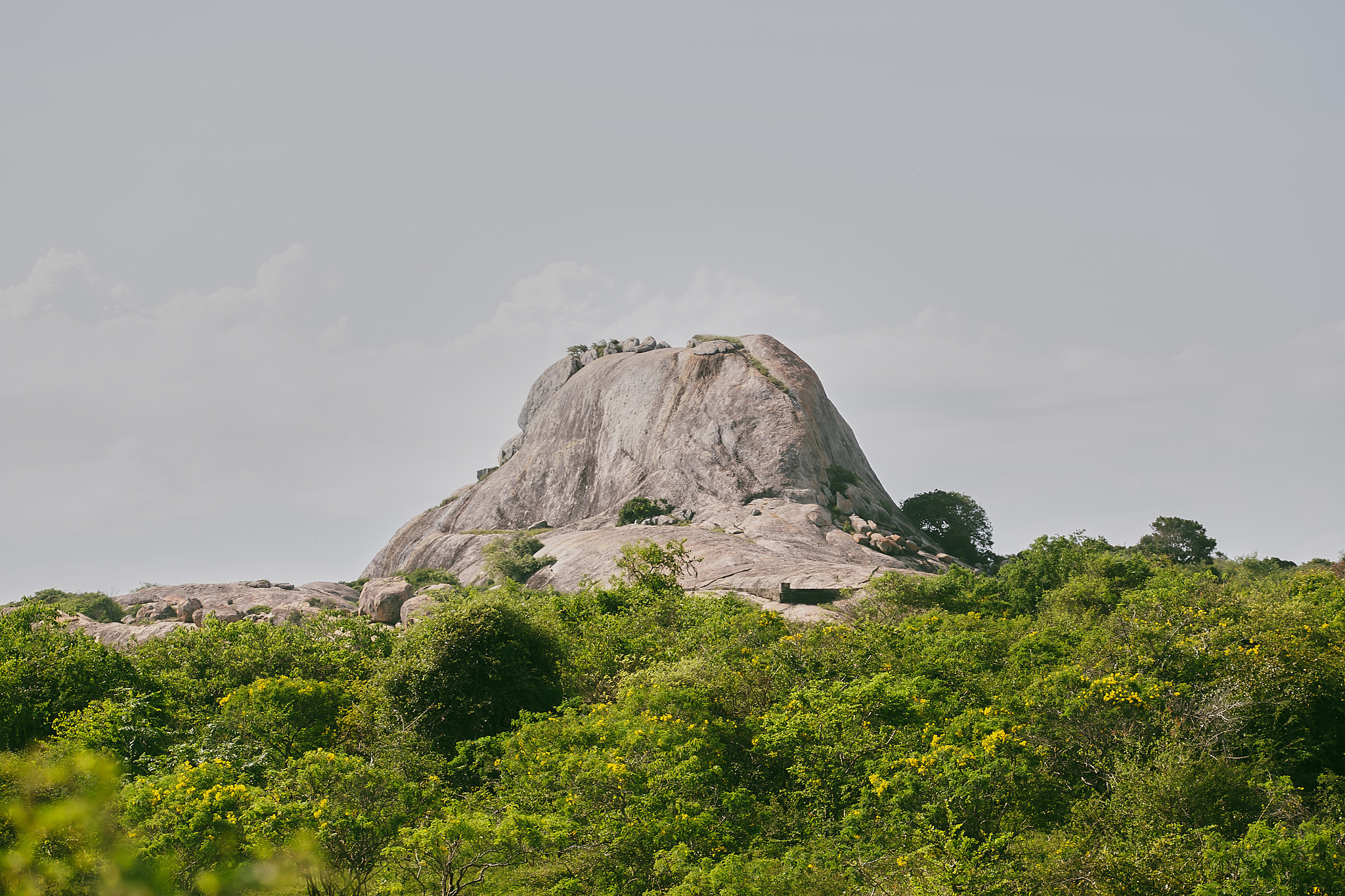 Yala National Reserve. Photographer Sonkina Tatiana (Tanya Ash)