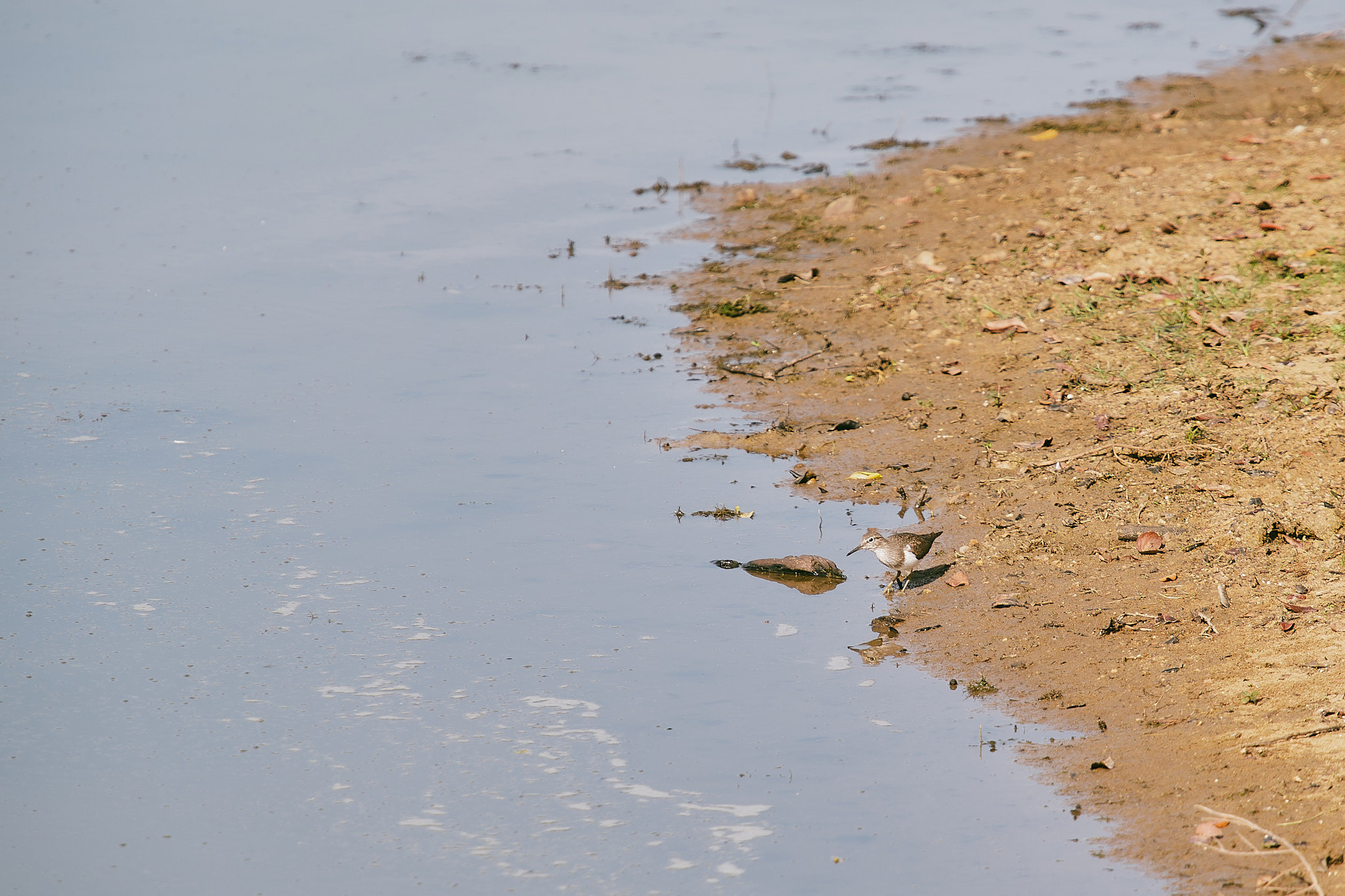 Yala National Reserve. Photographer Sonkina Tatiana (Tanya Ash)