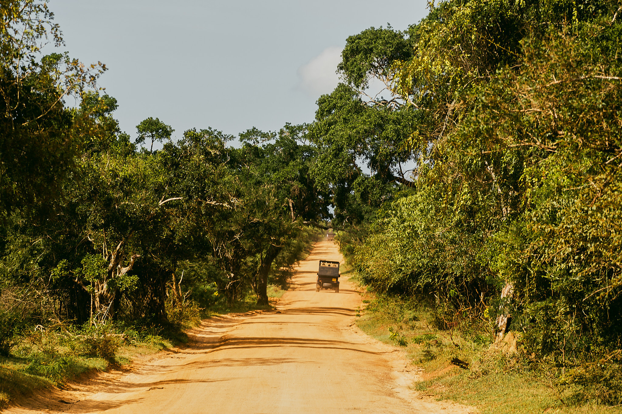 Yala National Reserve. Photographer Sonkina Tatiana (Tanya Ash)
