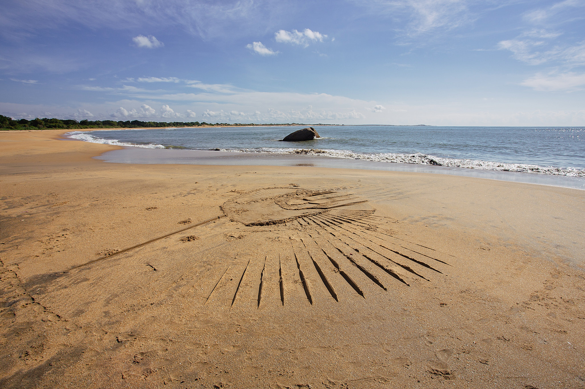 Yala National Reserve. Photographer Sonkina Tatiana (Tanya Ash)