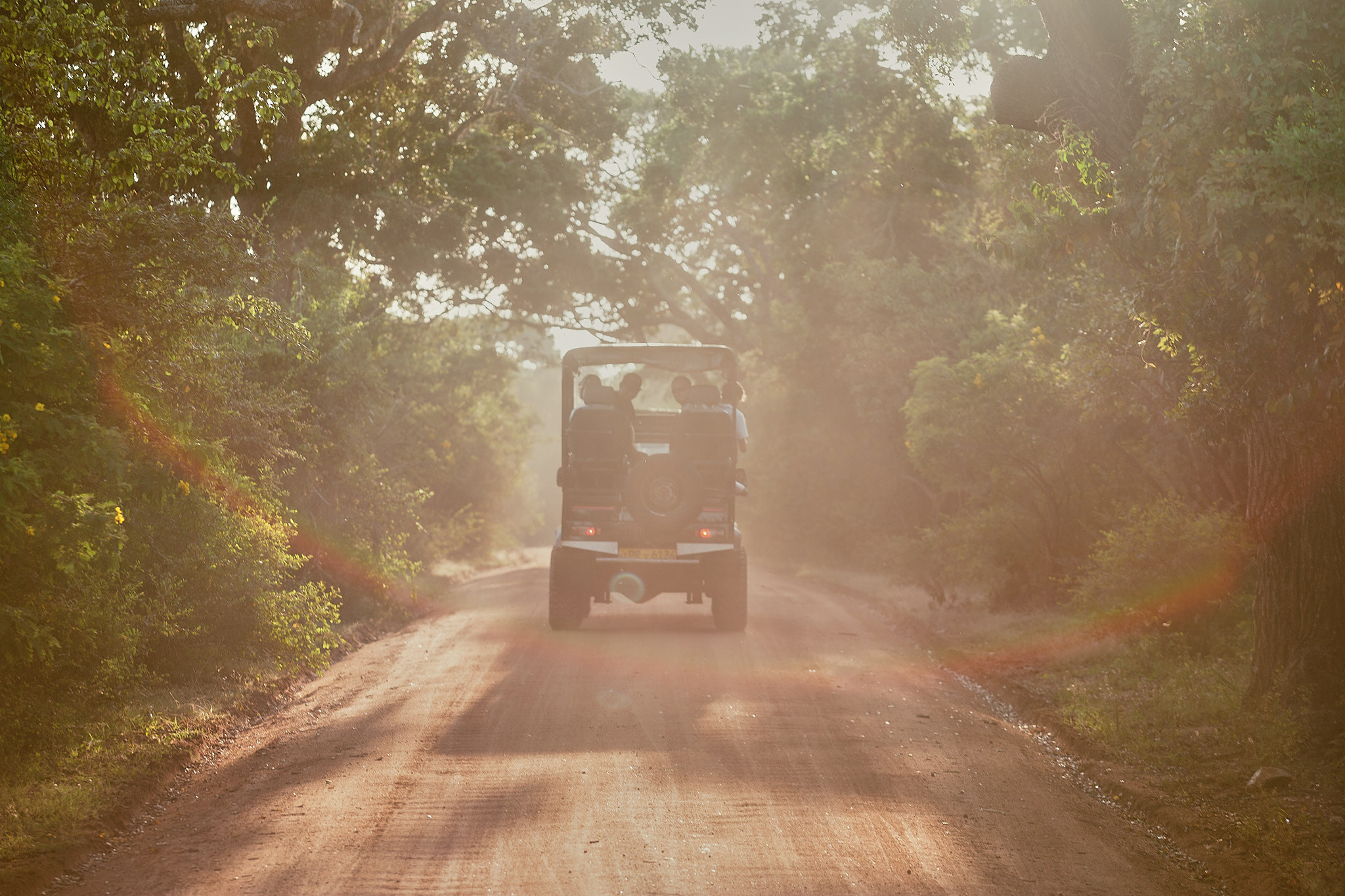 Yala National Reserve. Photographer Sonkina Tatiana (Tanya Ash)