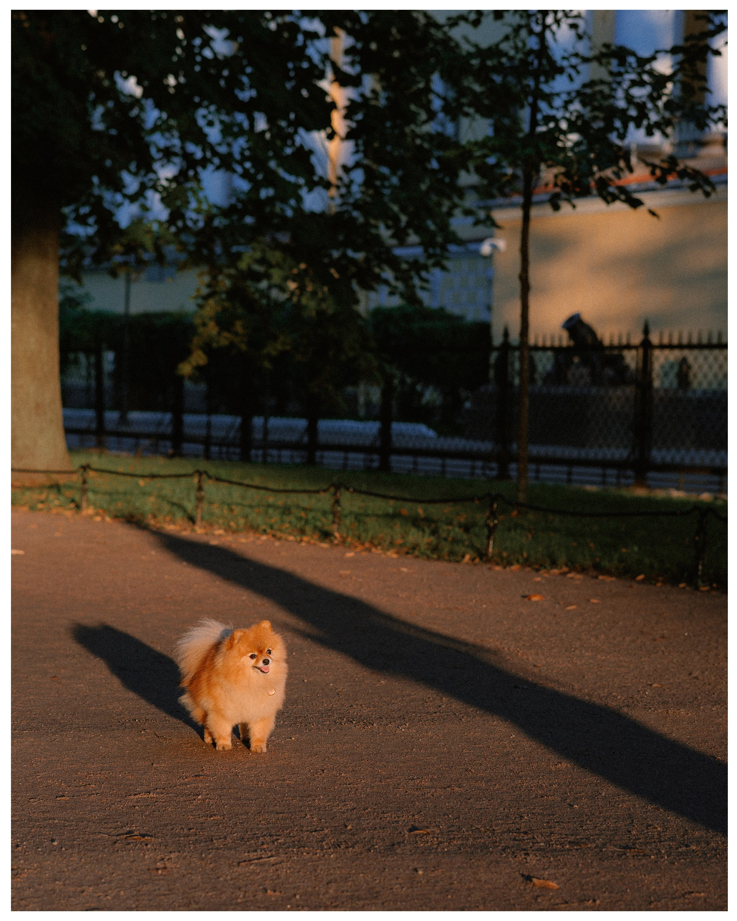 Карина и Адель. Фотограф в Санкт-Петербурге Алёна Губинская