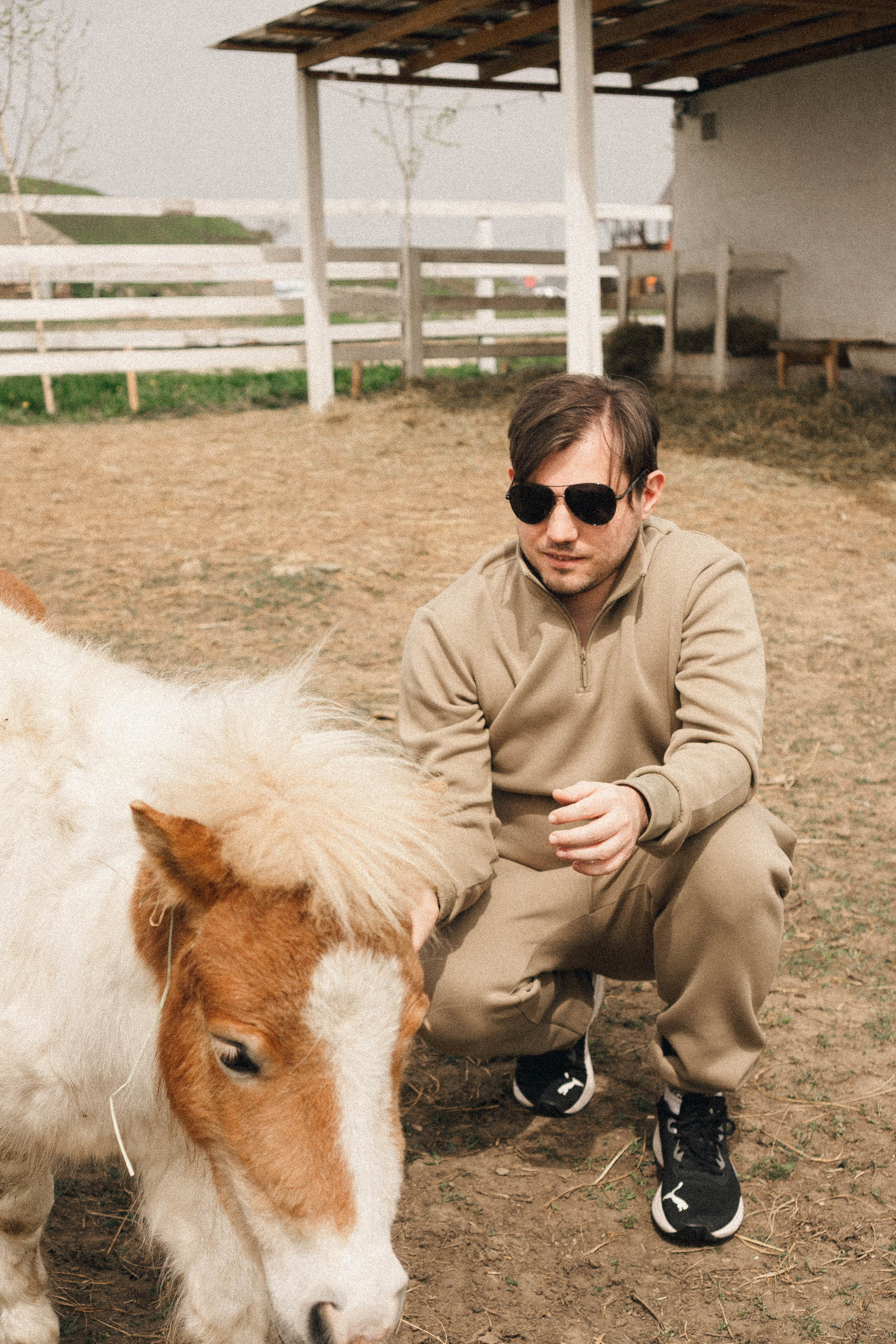 Ферма Альпак. Профессиональный фотограф, Санкт-Петербург — Виктория Богомолова