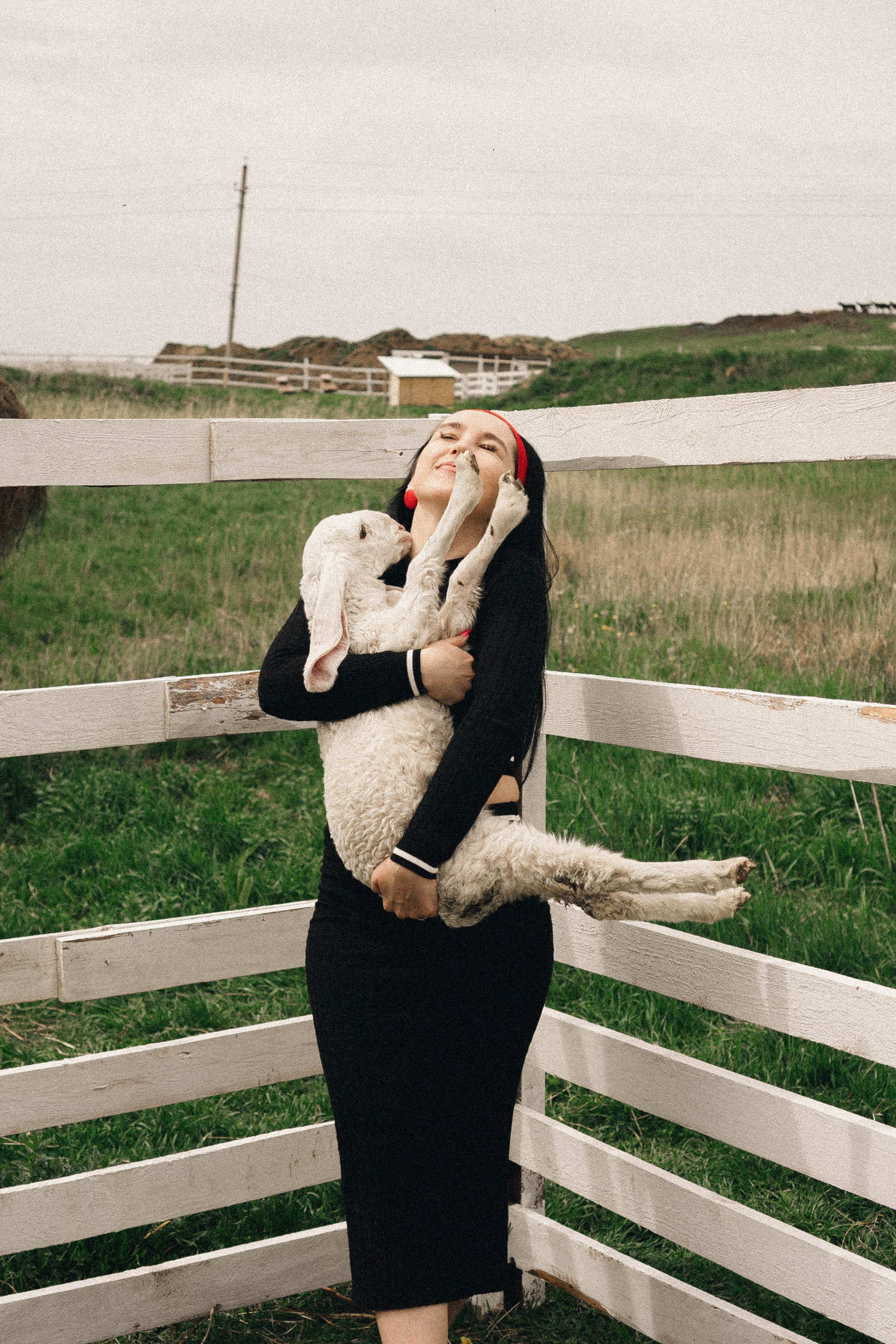 Ферма Альпак. Профессиональный фотограф, Санкт-Петербург — Виктория Богомолова