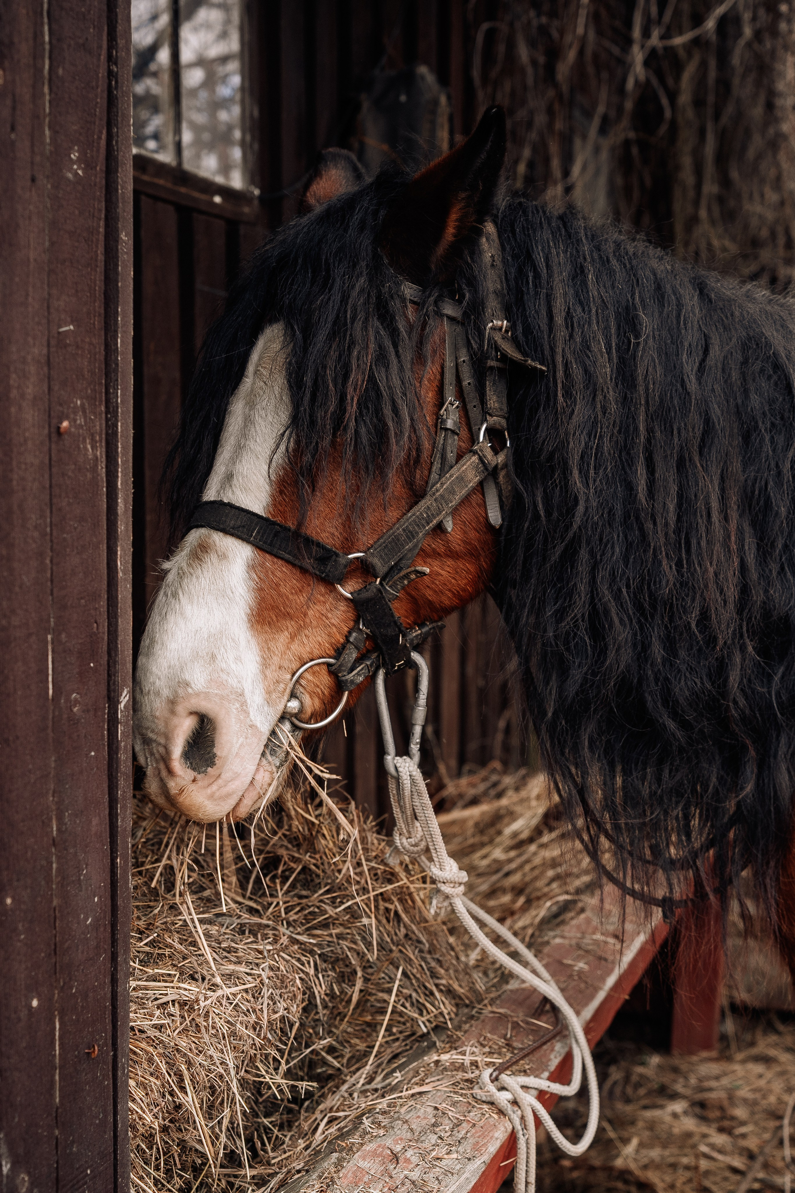 Фотосъемка мероприятия в ранчо Аванпост. Свадебный и семейный фотограф в Москве и МО Геннадий Туманцев