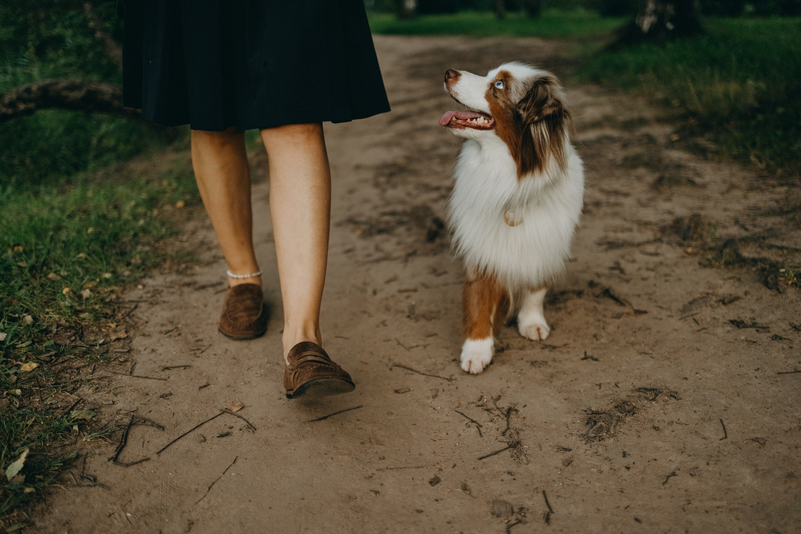 Маша и Эклер. Фотограф — Анималист | Санкт-Петербург