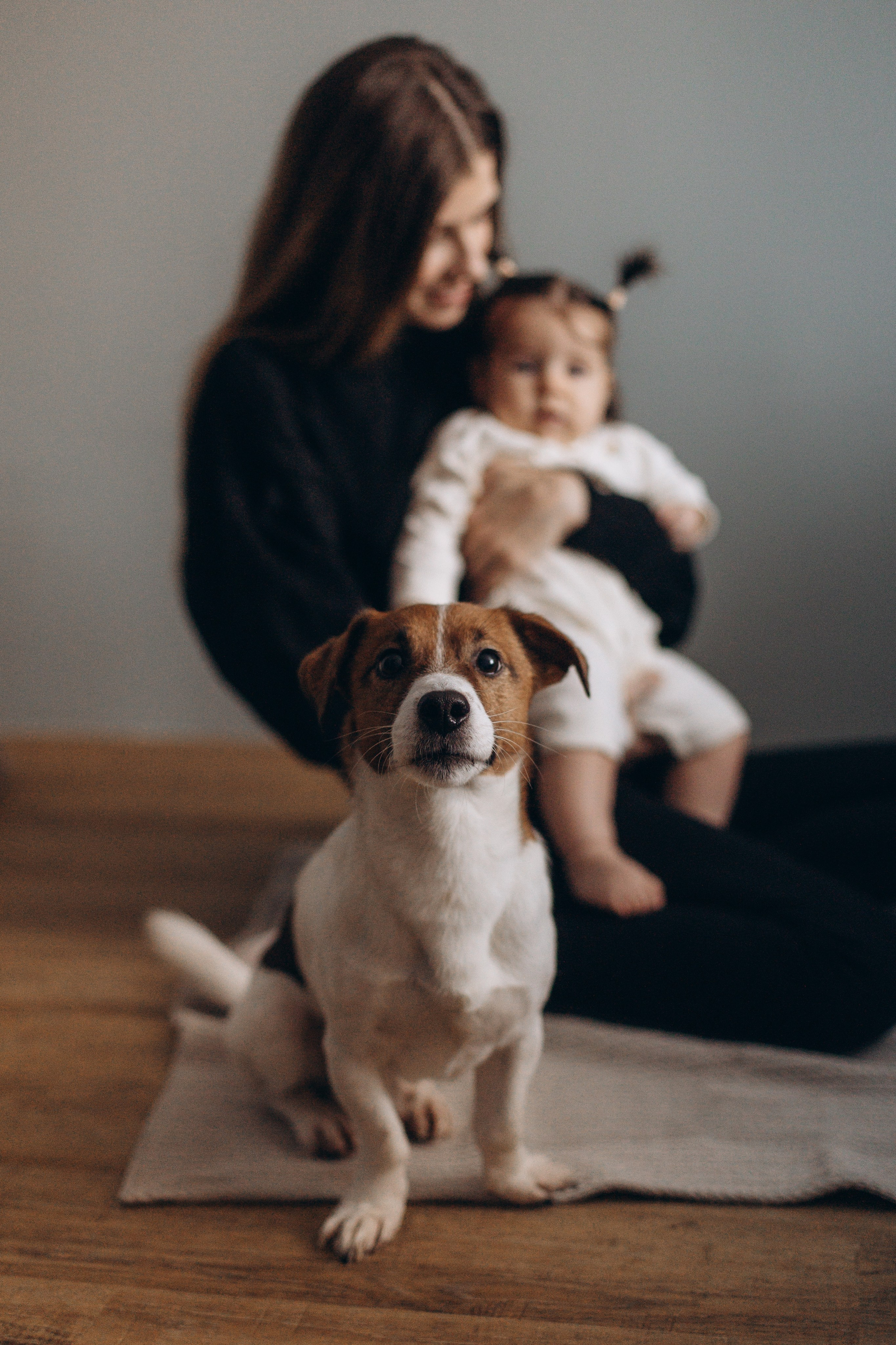 Джой и его семья. Фотограф — Анималист | Санкт-Петербург