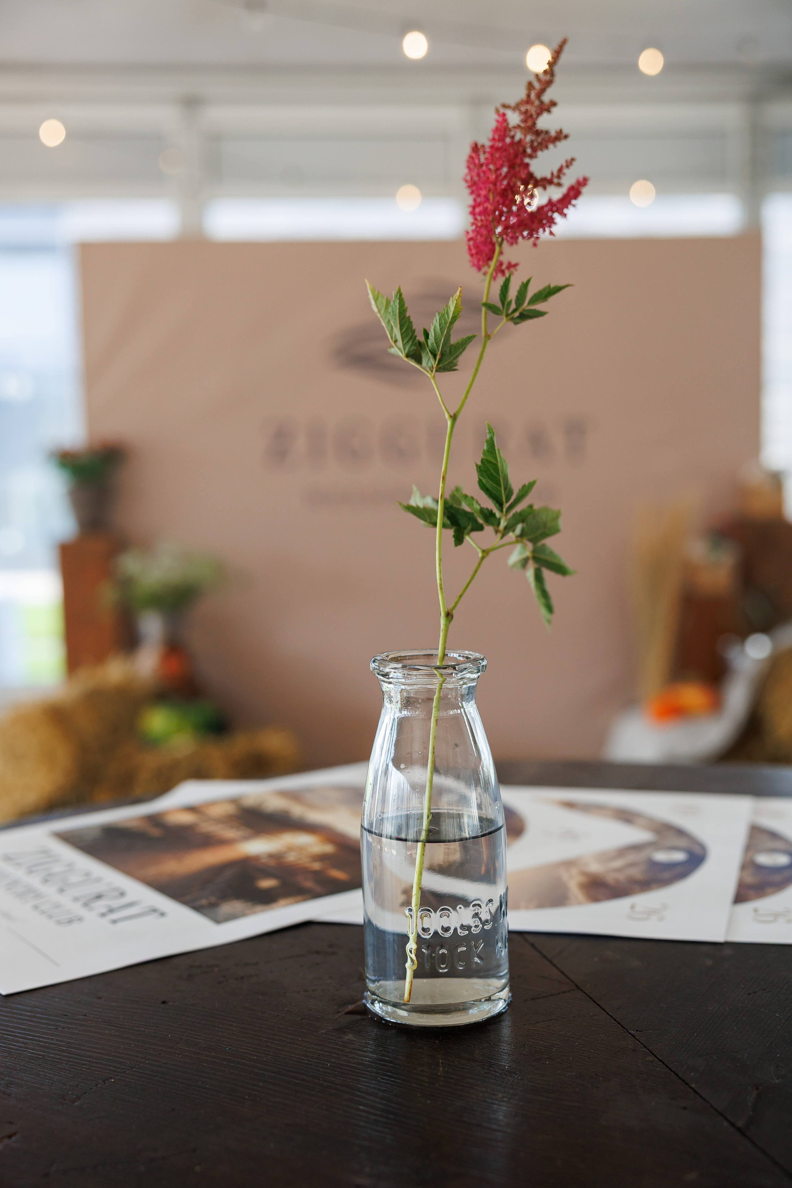 ZIGGURAT Resort & club. Репортажный фотограф/видеограф Артур Аванесян в Москве