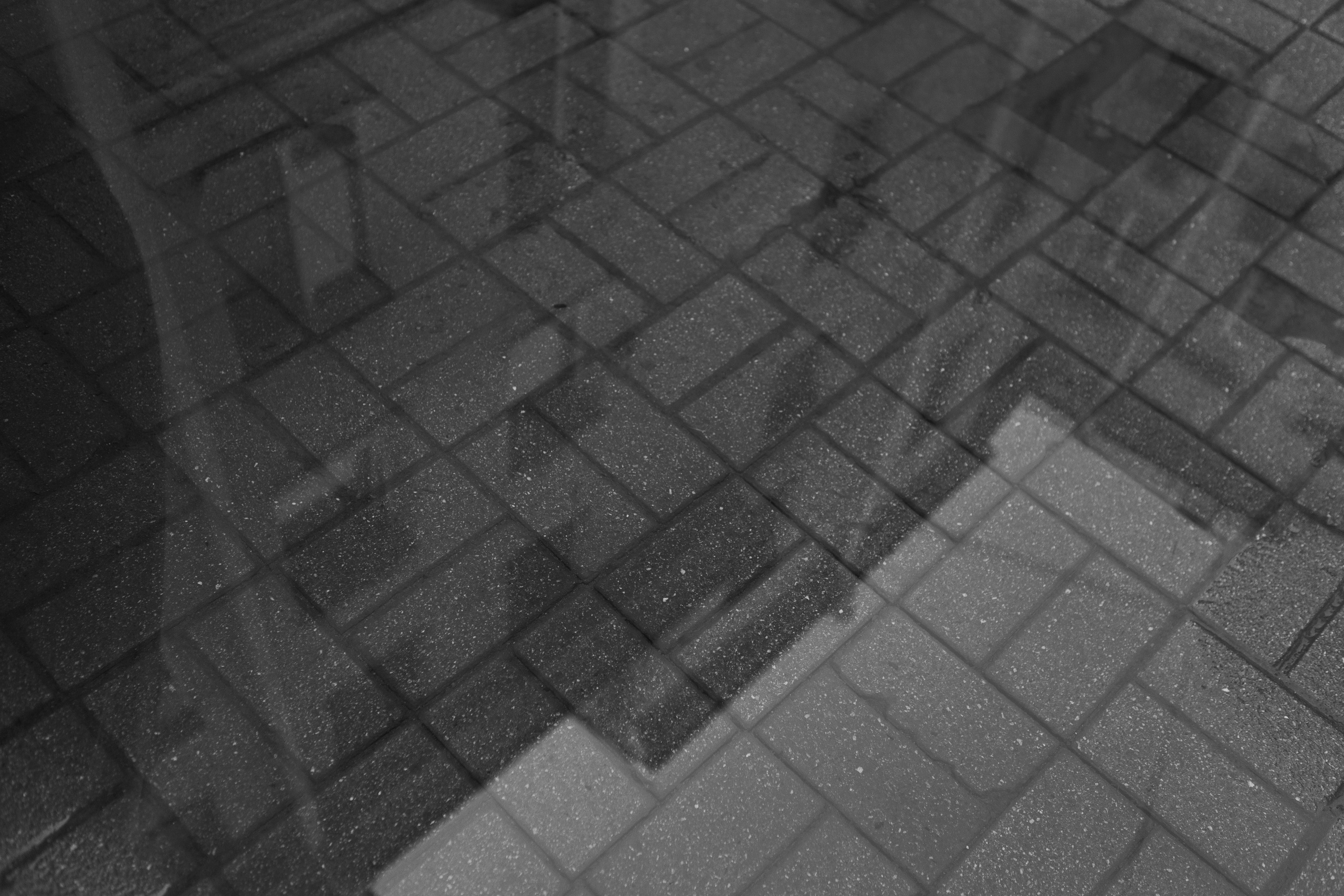 Савва и Лиза. Фотограф в Саратове Сабина Иманова