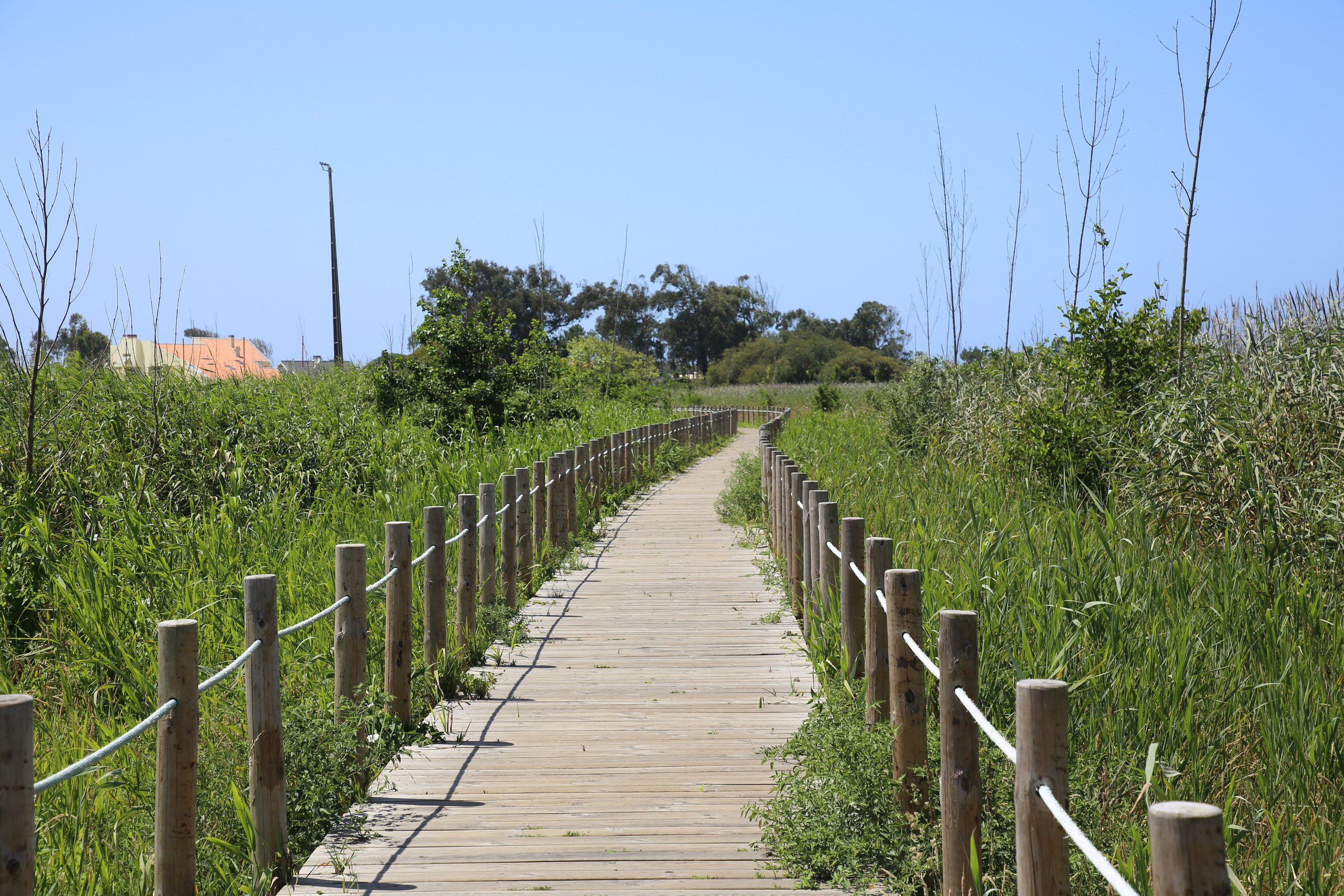 Esmoriz, Portugal. Andrey Filippov Photographer