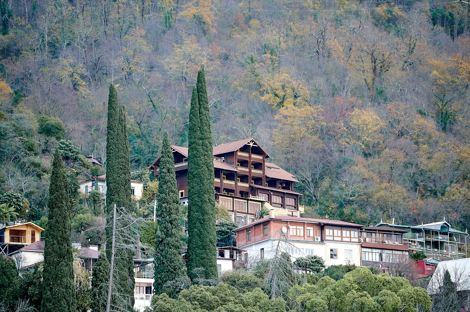 Гагра, Абхазия. Декабрь 2024. Фотографии отовсюду и обо всем
