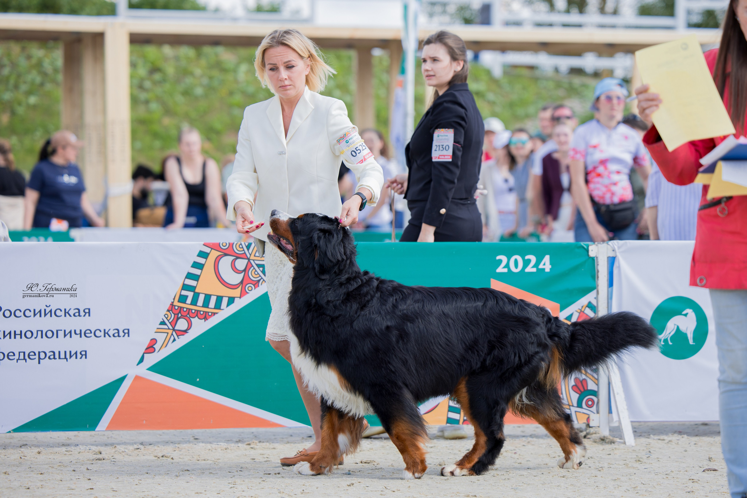 РОССИЯ 8-9.06.2024. Фотограф-анималист Юлия Германика