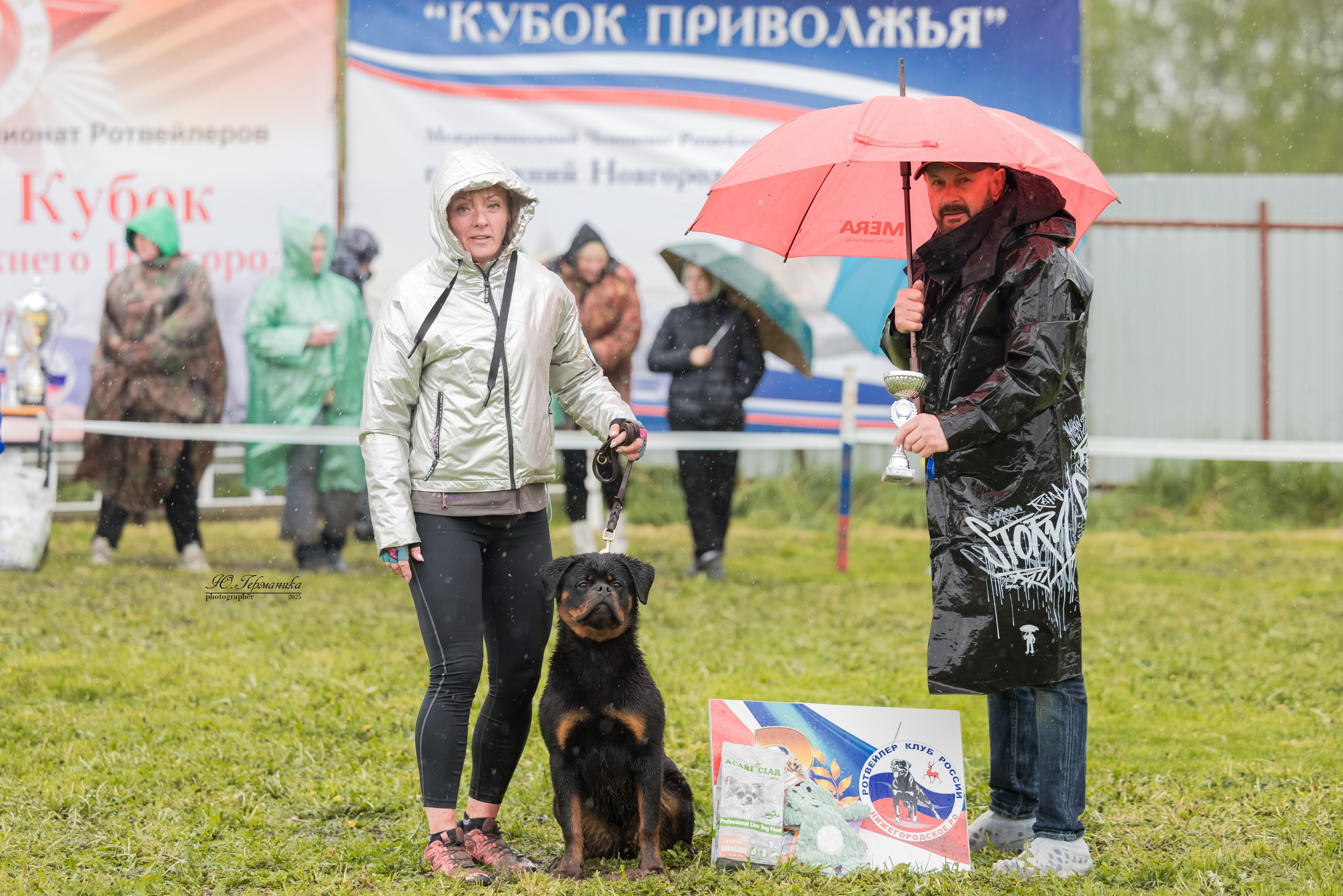 Нижний Новгород 2хмоно ротвейлеров 10-11.05.2025. Фотограф-анималист Юлия Германика