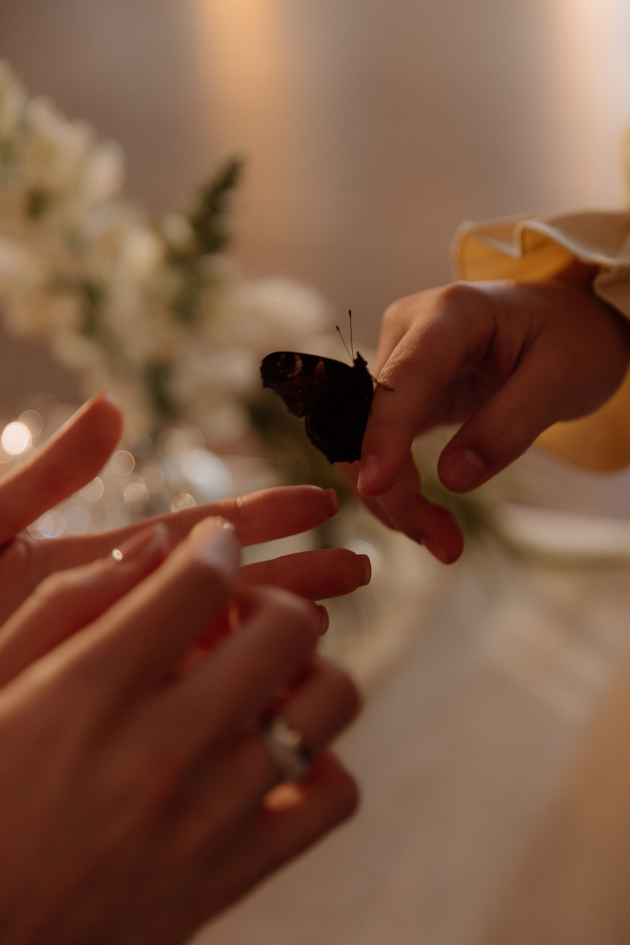 Влад|Азалия. Фотограф в Казани Гузель Зайнуллина