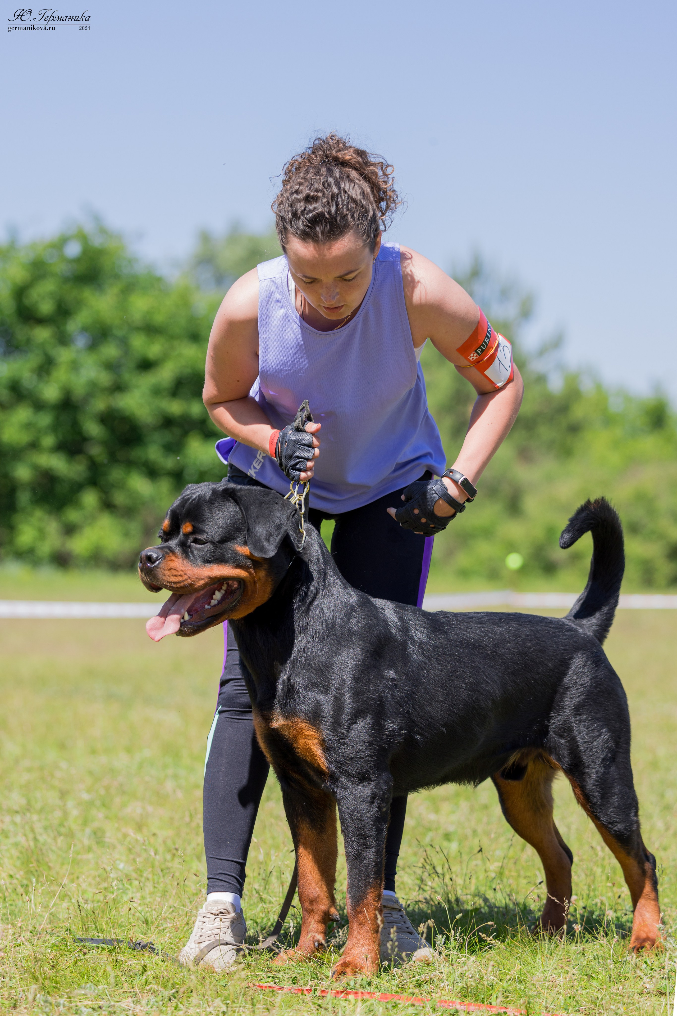 Воронеж моно ротвейлеров 25-26.05.2024. Фотограф-анималист Юлия Германика