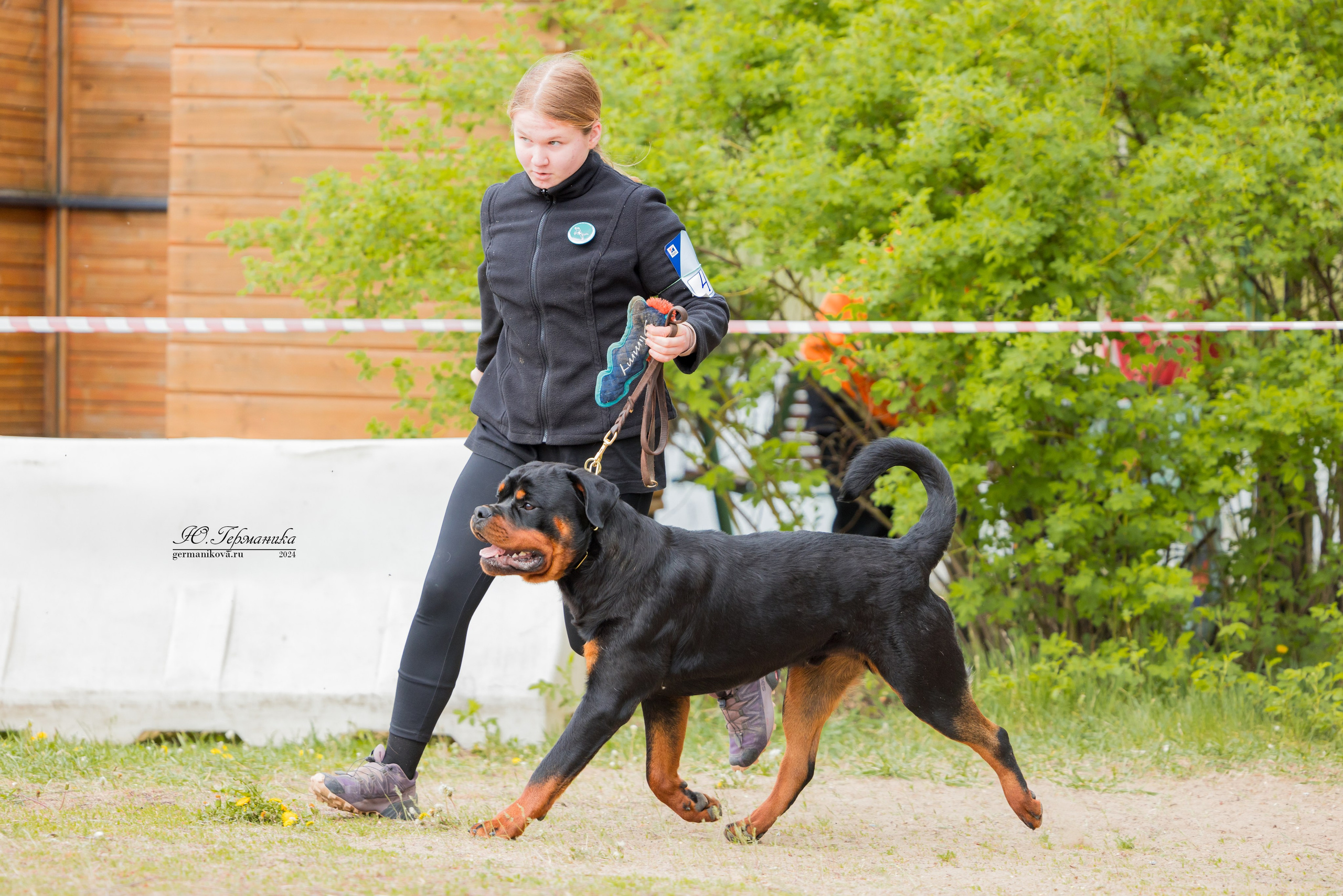Саратов 2 х моно ротвейлеров 28-29.04.2024. Фотограф-анималист Юлия Германика