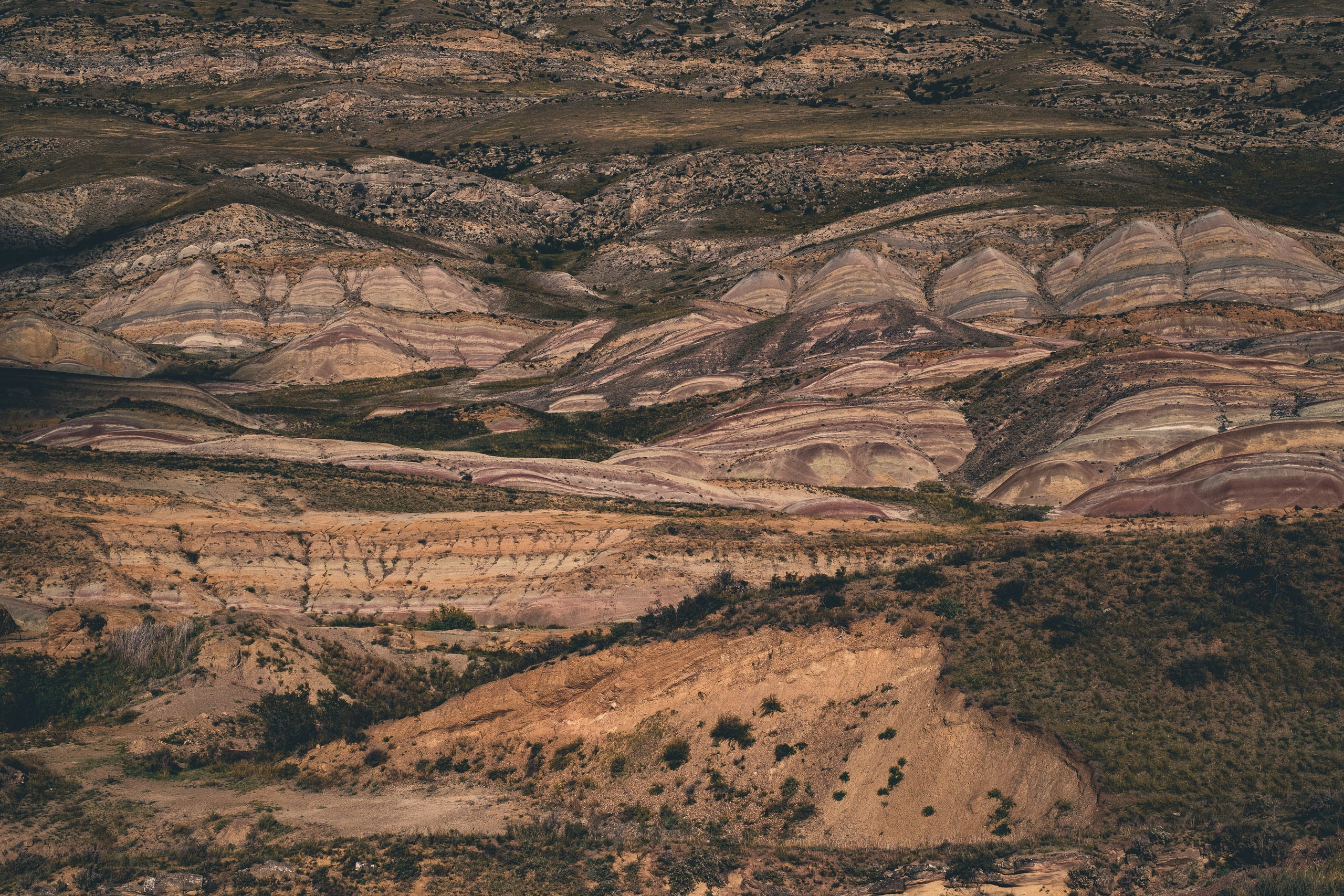 Georgia travel. Photographer in Tbilisi