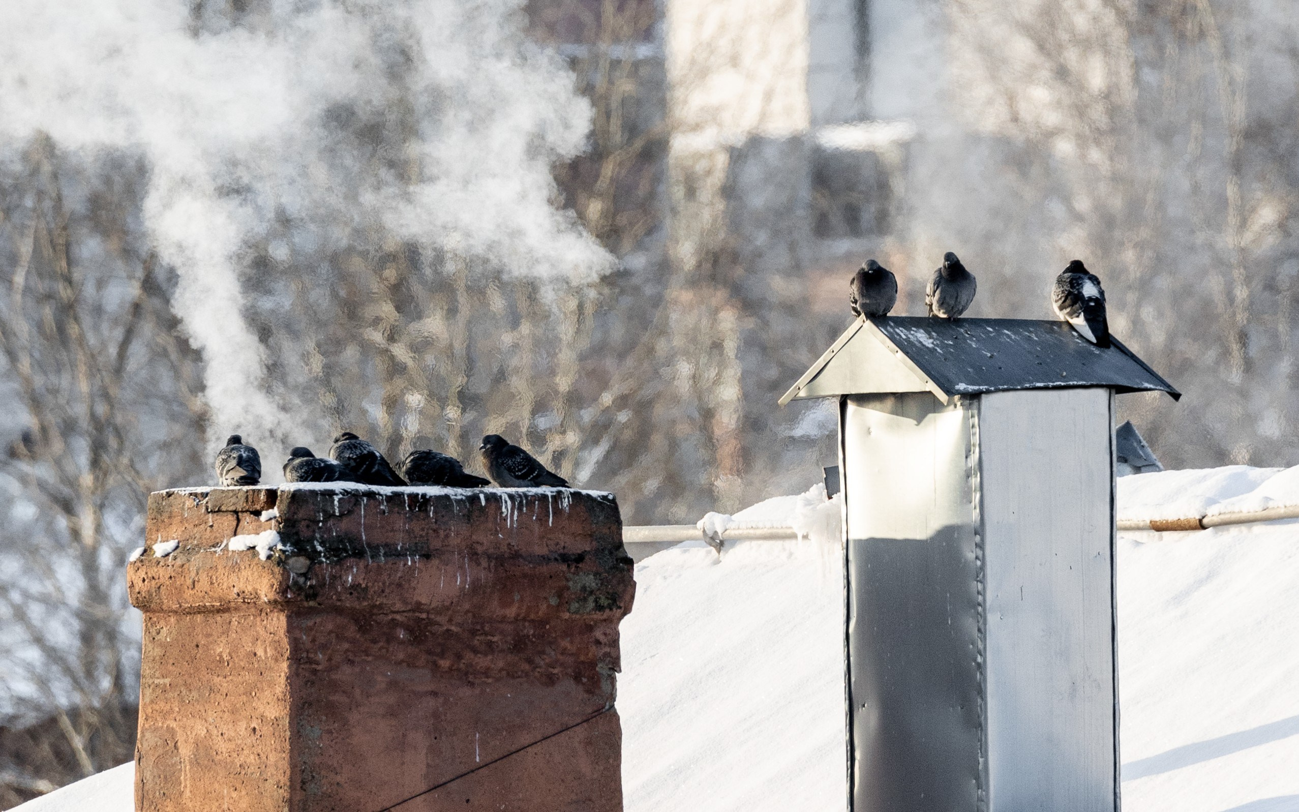 Городской пейзаж. Фотограф Владимир Охрименко