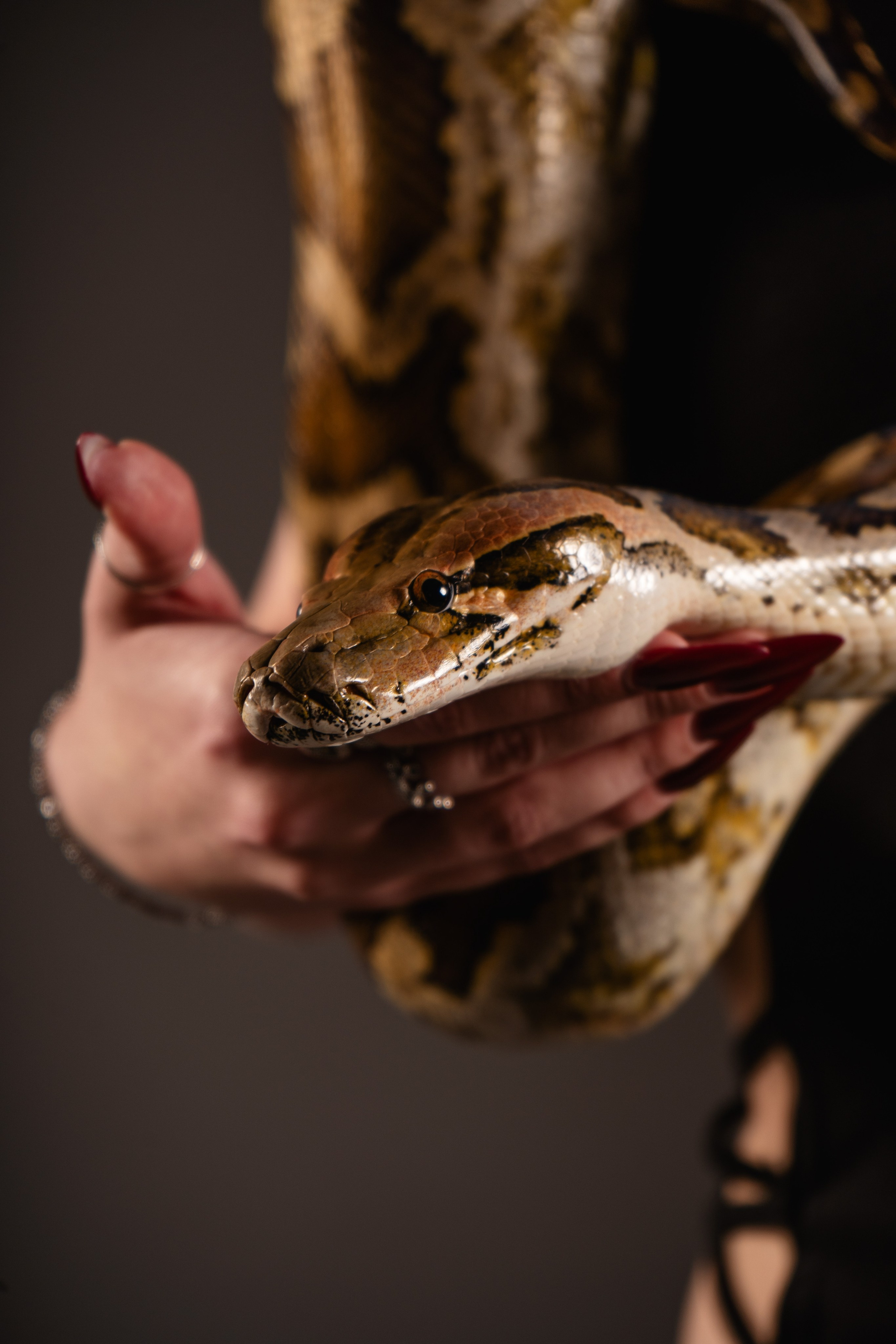 Индивидуальная съёмка. Фотограф в Санкт-Петербурге CHASOVPHOTO