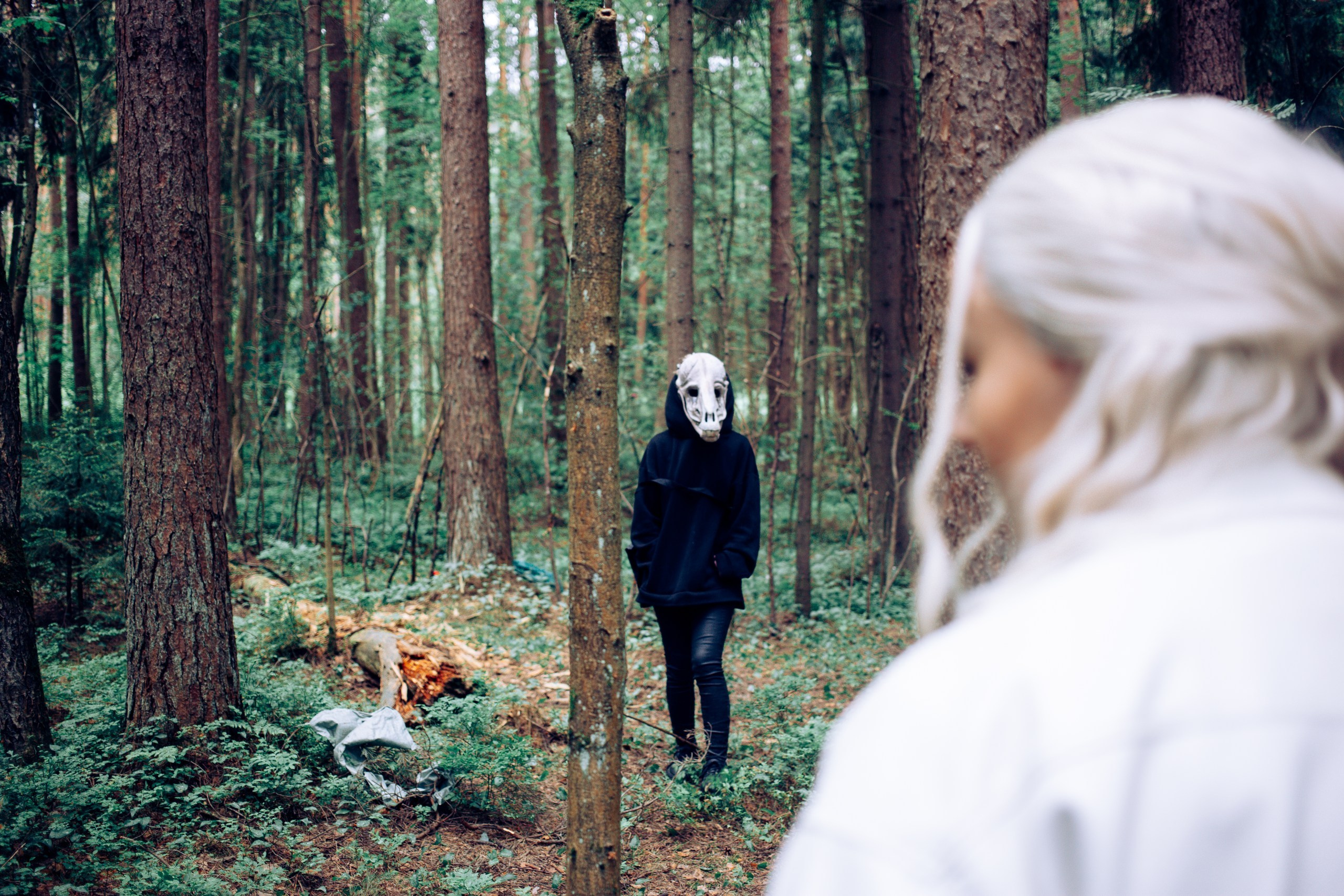 Запретный лес. Репортажный фотограф Анастасия Головко