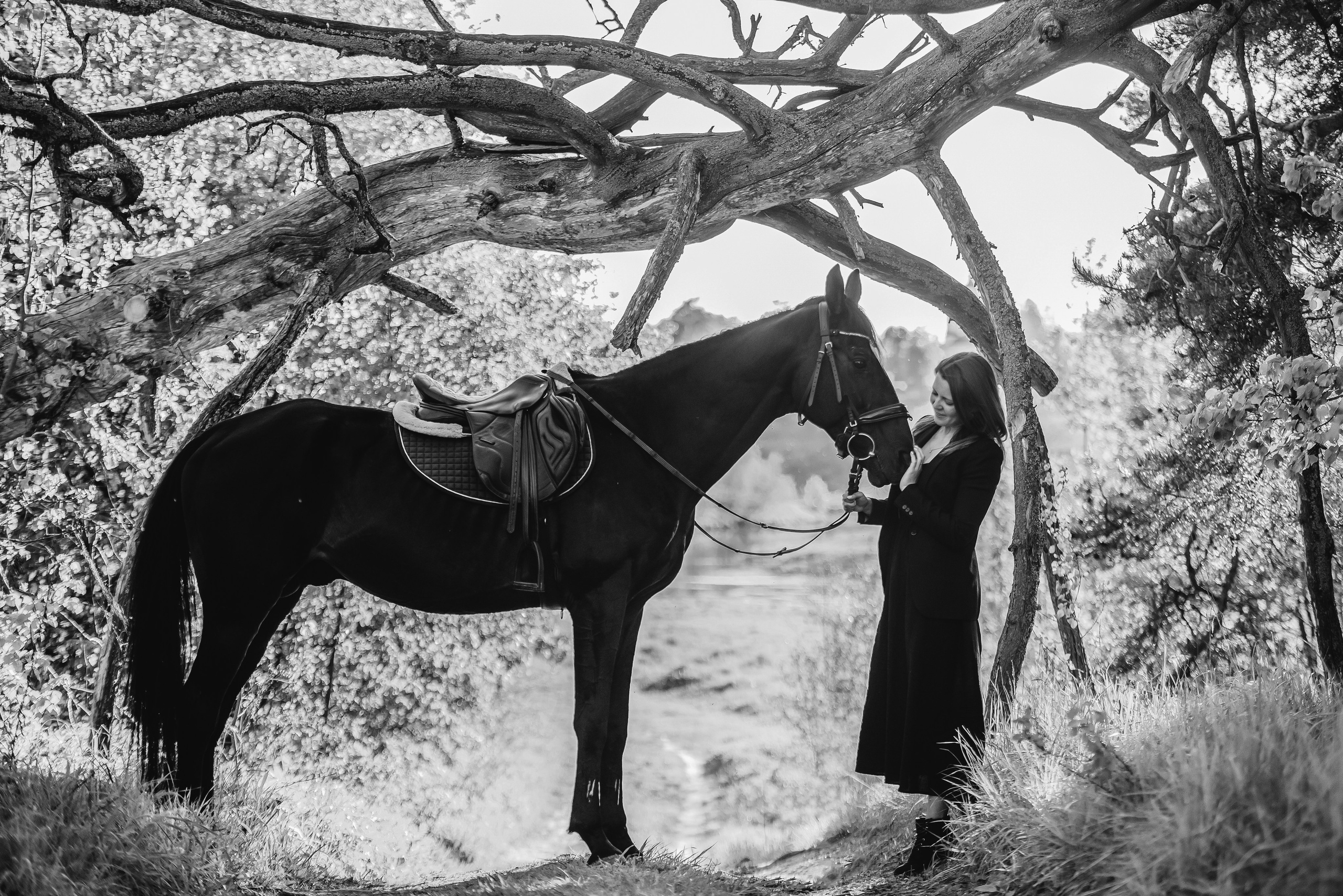 Серия с лошадью: Алина и Тархун (Москва, 2024). Анна Пушина, фотограф, Москва, Королев, Пушкино