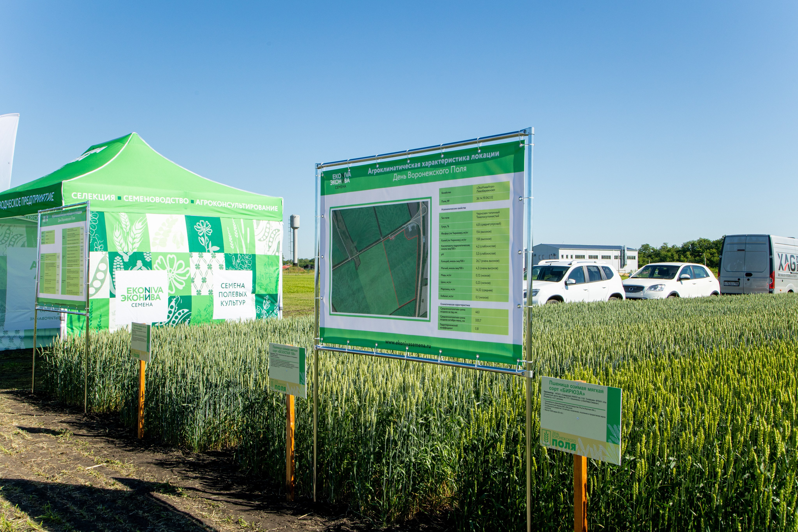 День Поля 2022. Владислав Волков | Фотография и видеосъемка в Воронеже