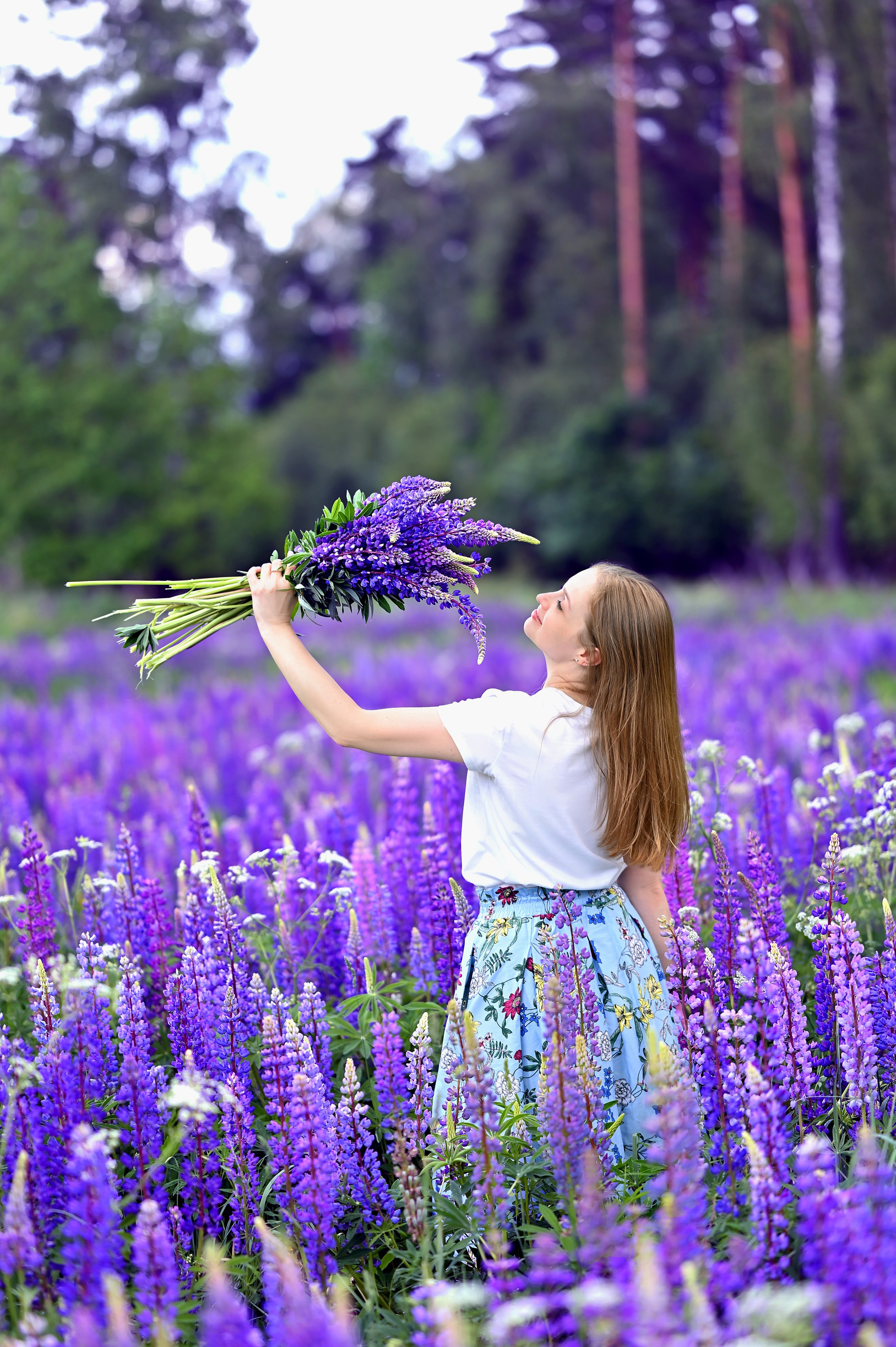 Анна и люпины. Фотограф Москва и Московская область Мария Кузьмина