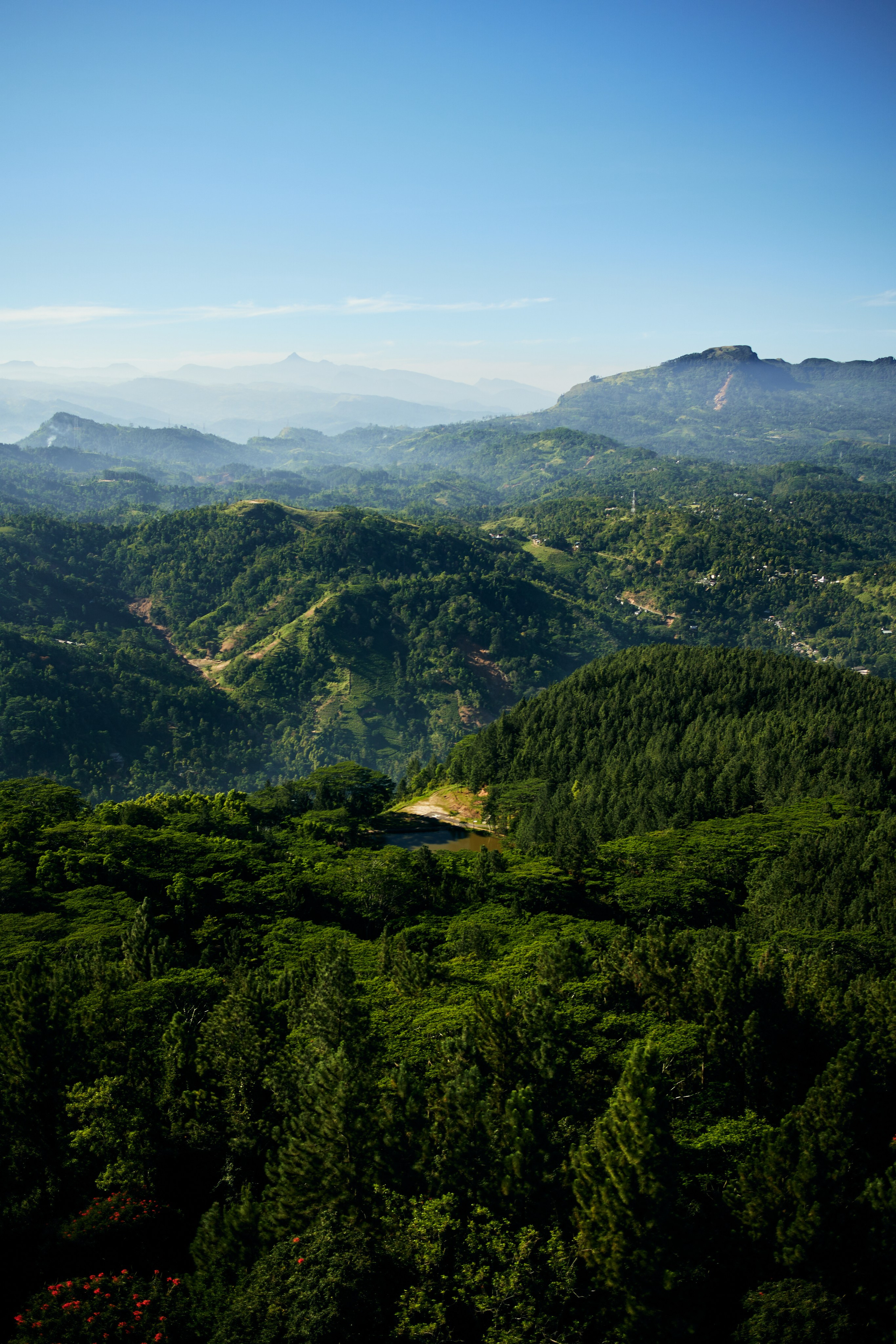 Шри-Ланка. Хороший репортажный и промышленный фотограф в Казани Алексей Щелконогов