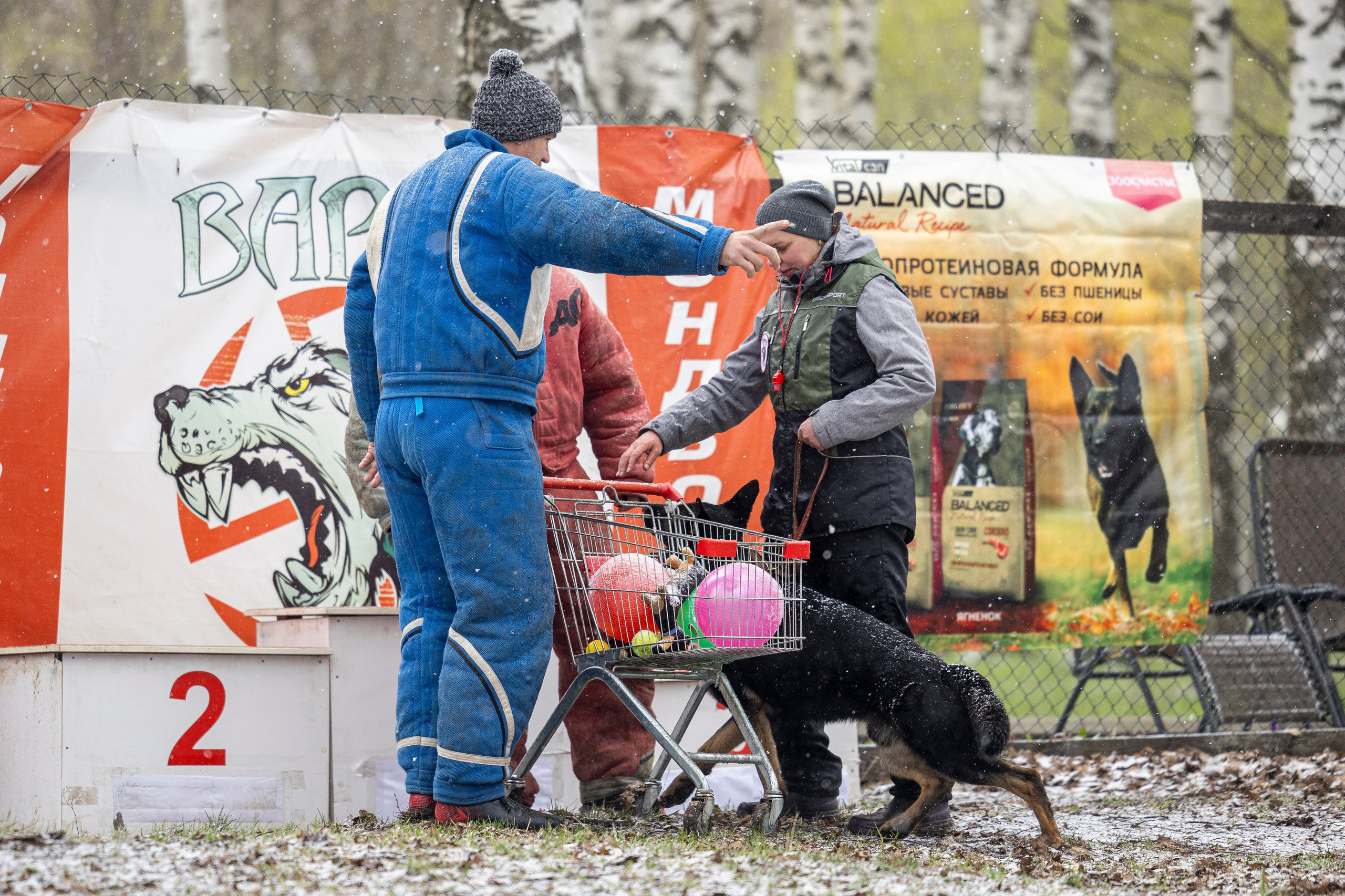 Квалификационные состязания по мондьорингу г. Вологда 11.05.24. Фотограф-анималист Анна Маринич