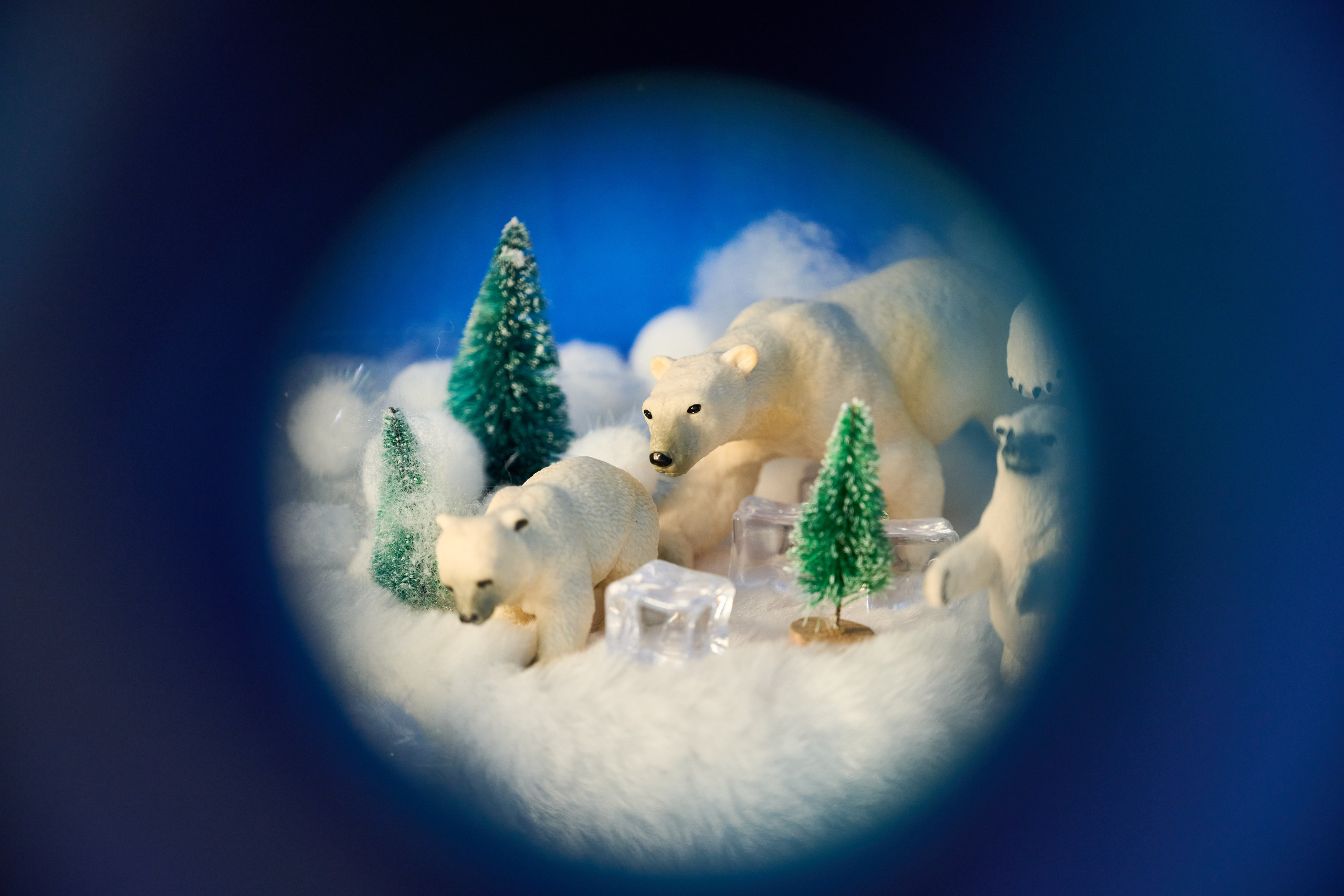 Интерьеры Усадьбы Деда Мороза. Никита Хохловский фото и видео продакшн