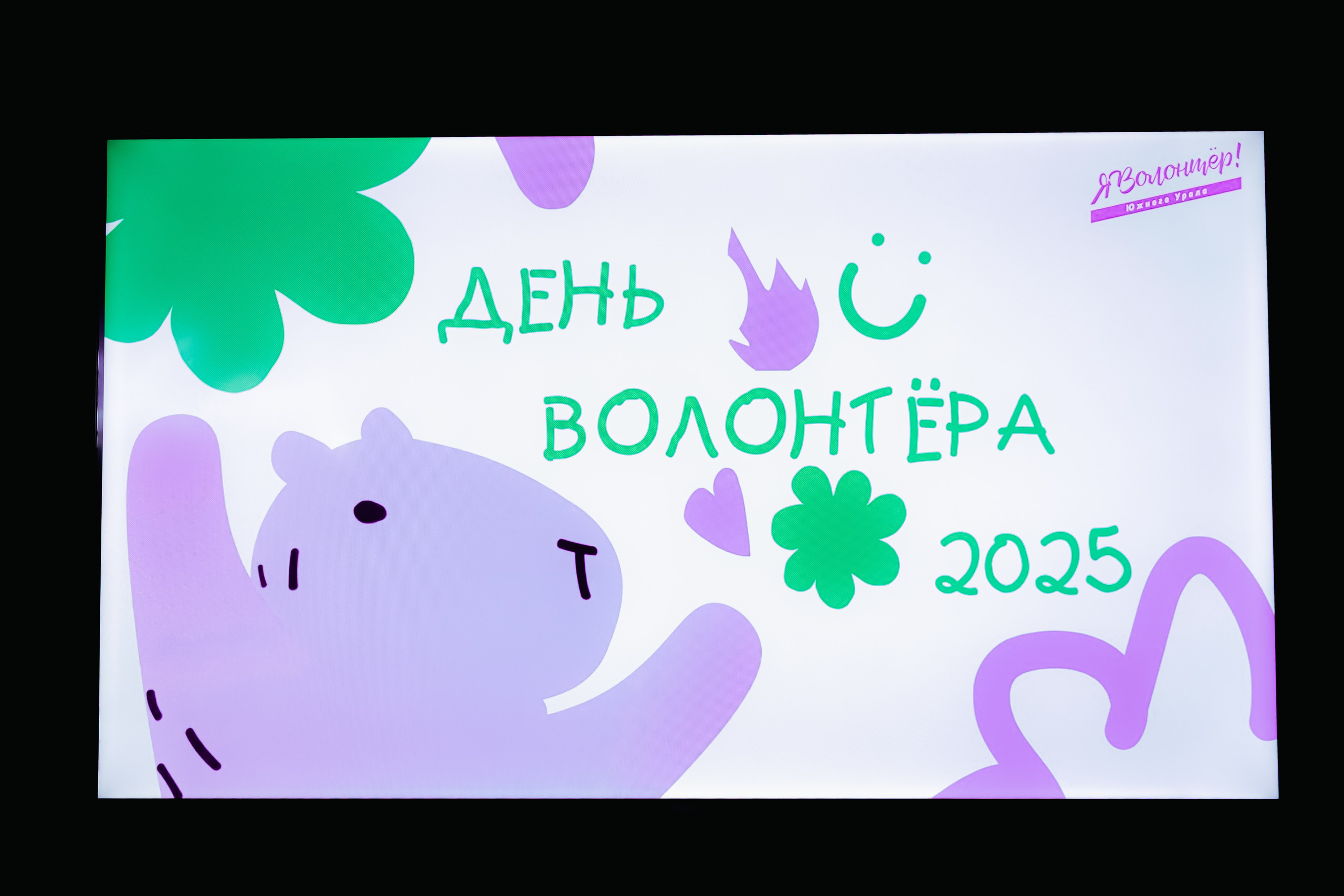 День волонтёра, декабрь²⁰²⁵. Репортажный фотограф в Челябинске Анастасия Хмарук