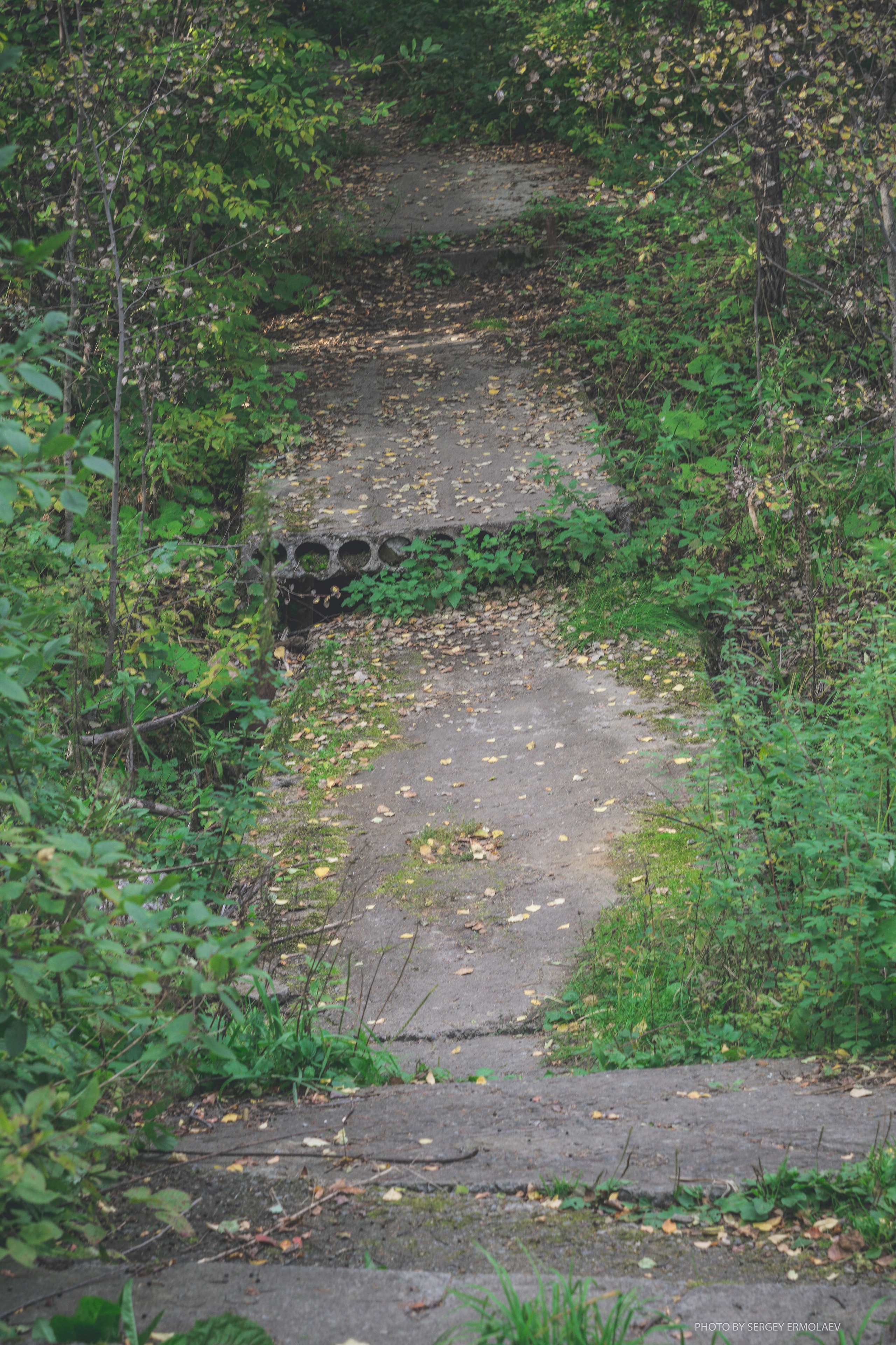 На тропах старинного парка